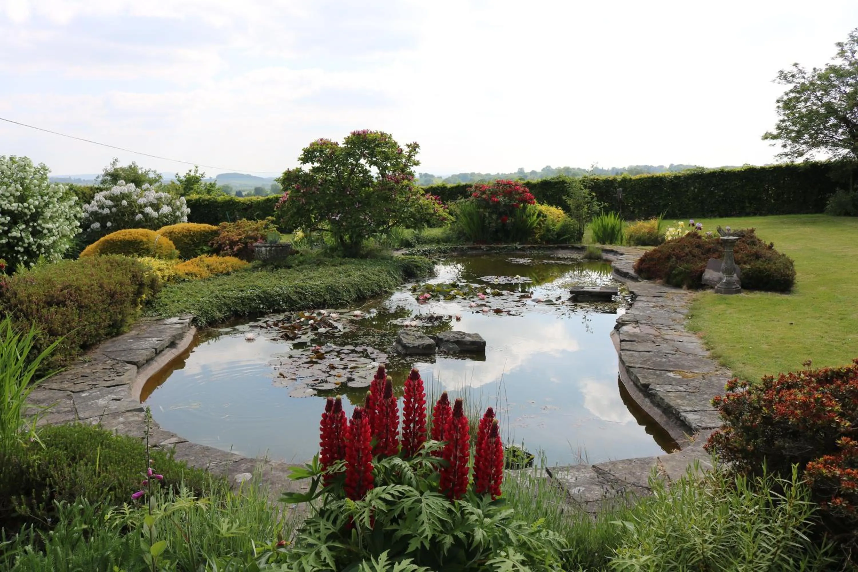 Natural landscape in Mortimer Trail B and B