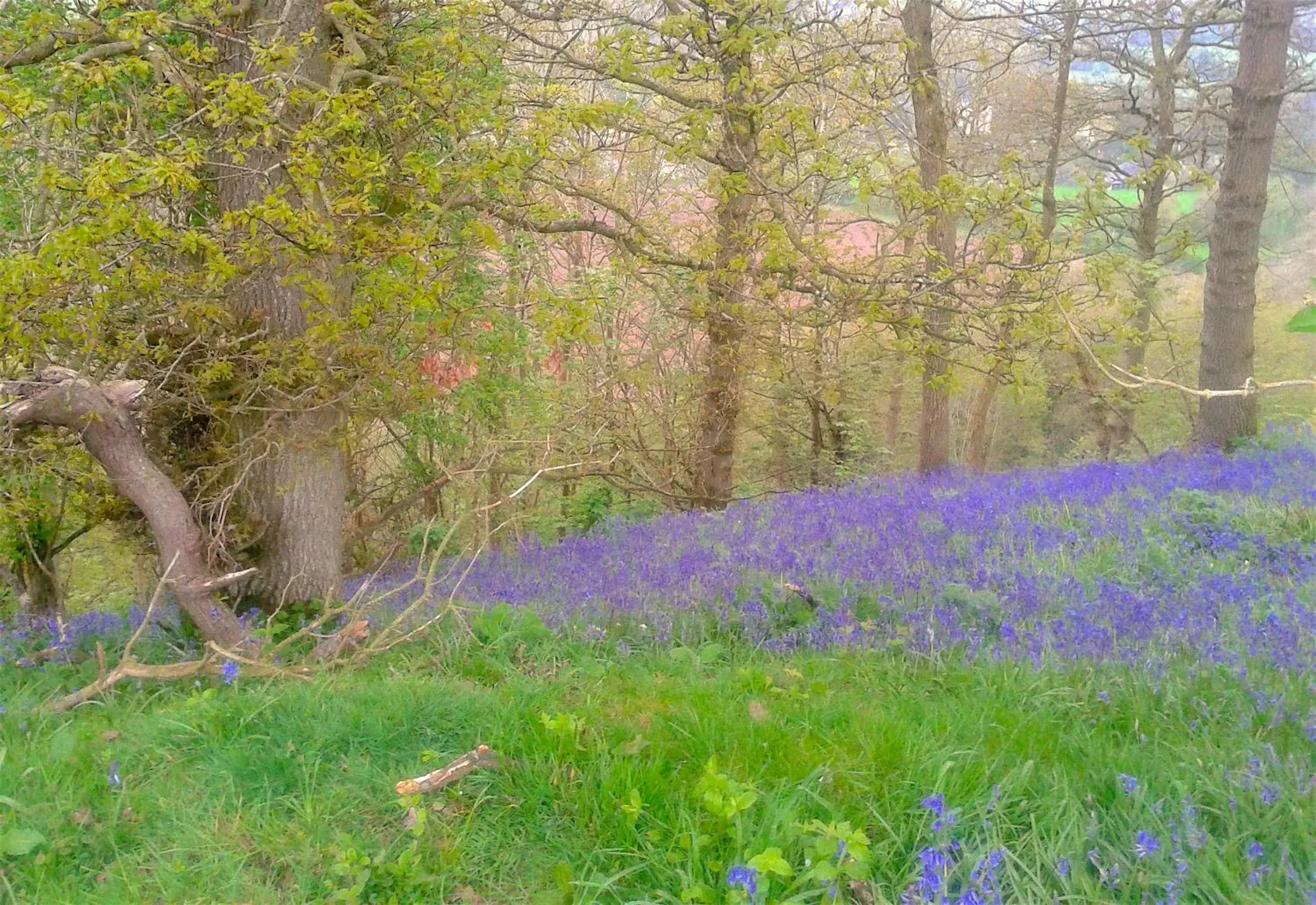 Off site in Mortimer Trail B and B Off site in Mortimer Trail B and B