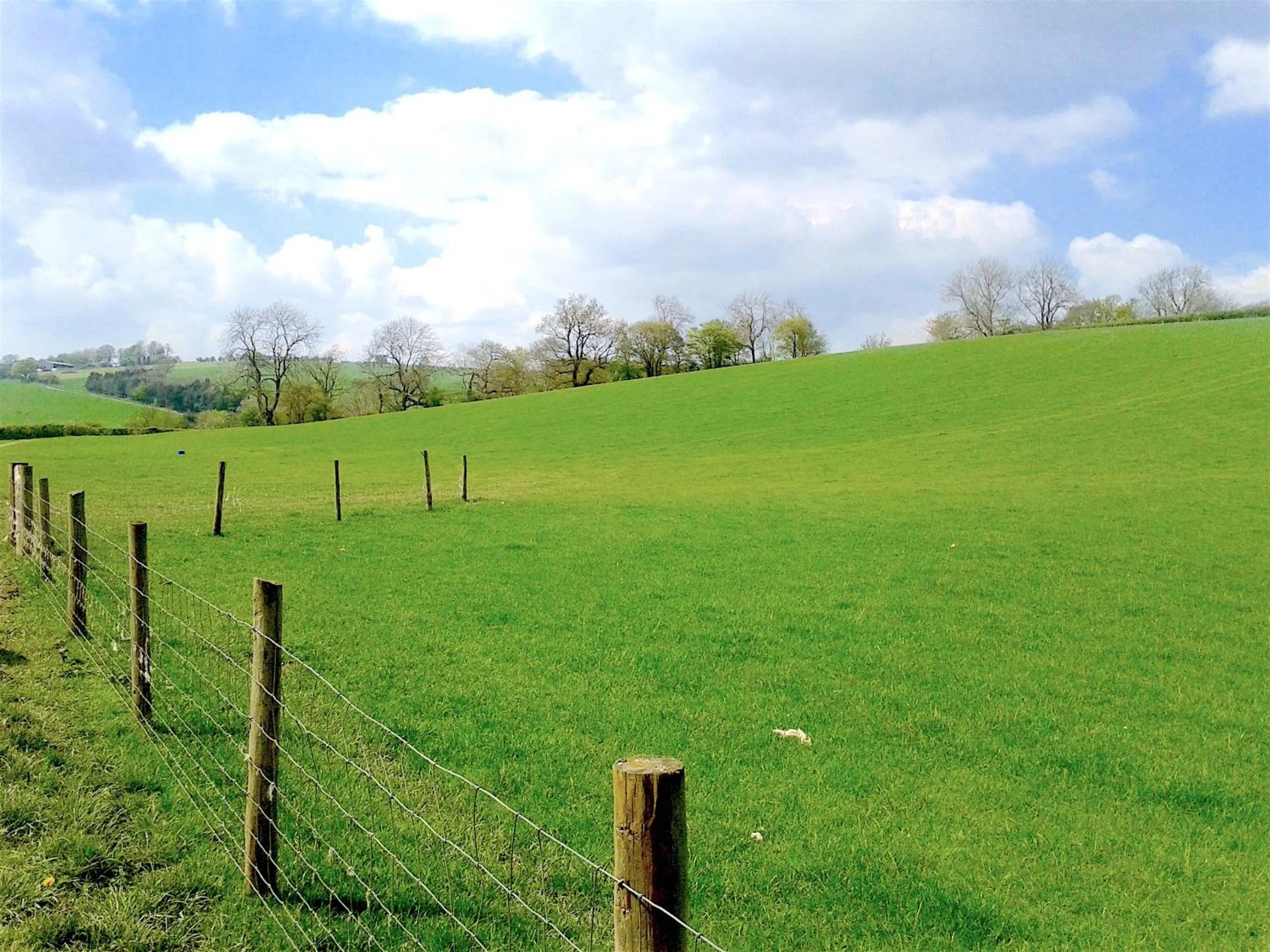 Off site in Mortimer Trail B and B