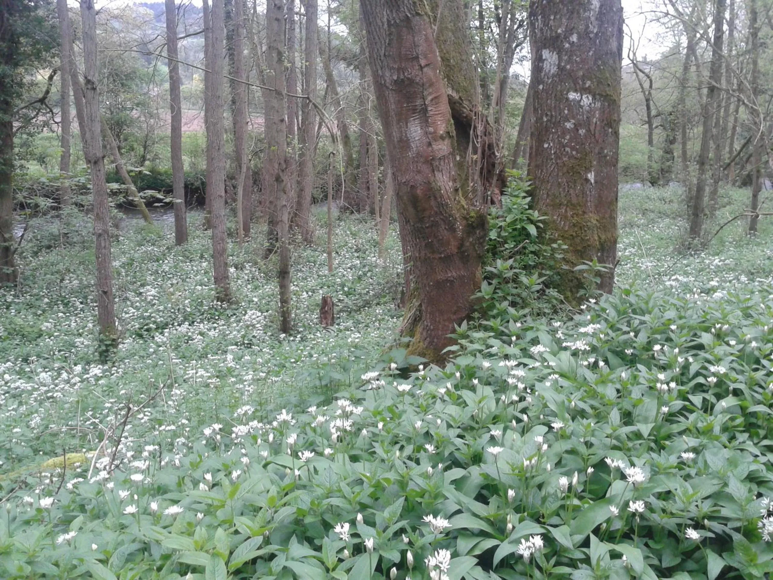 Off site in Mortimer Trail B and B