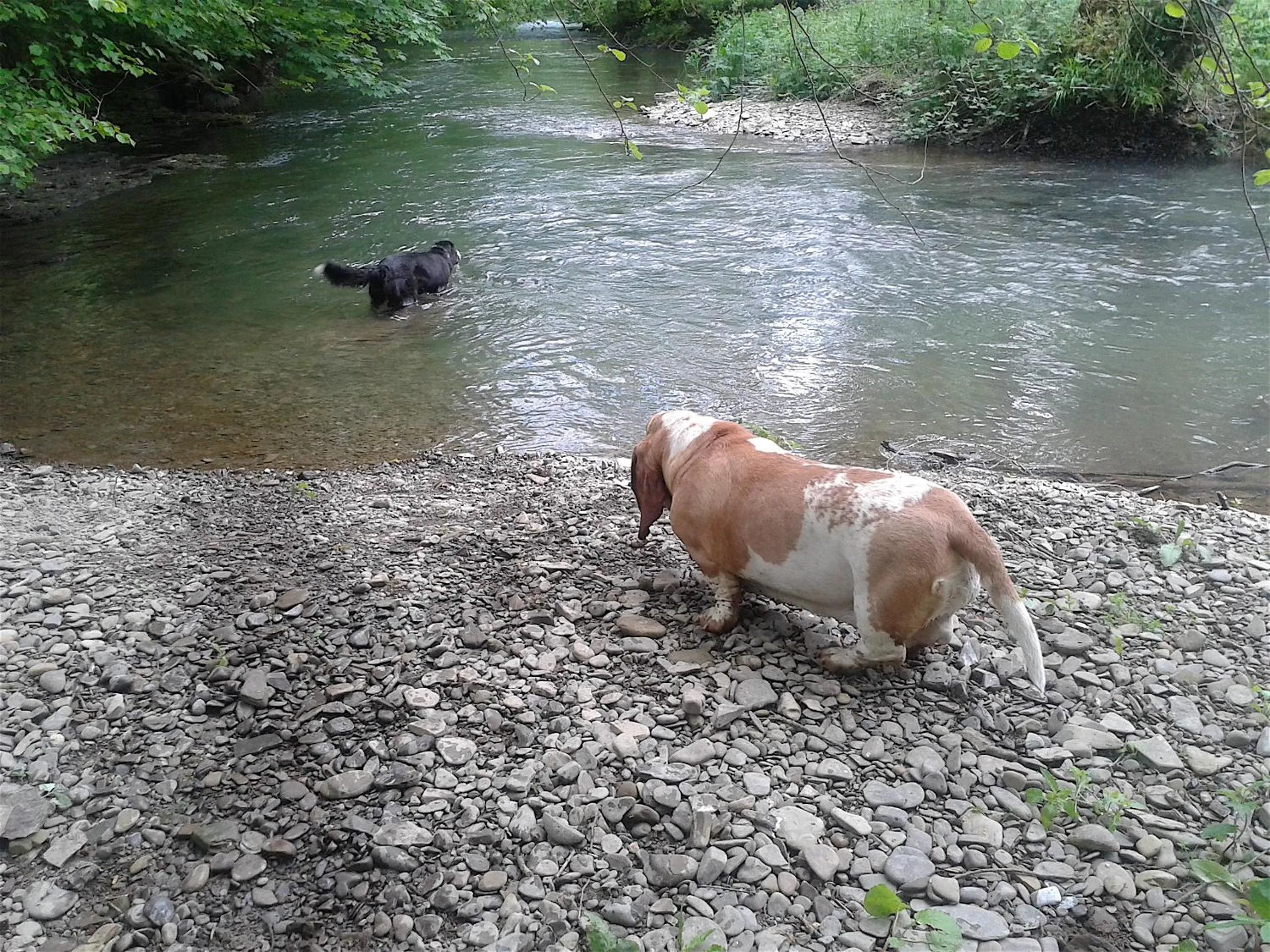 Off site in Mortimer Trail B and B