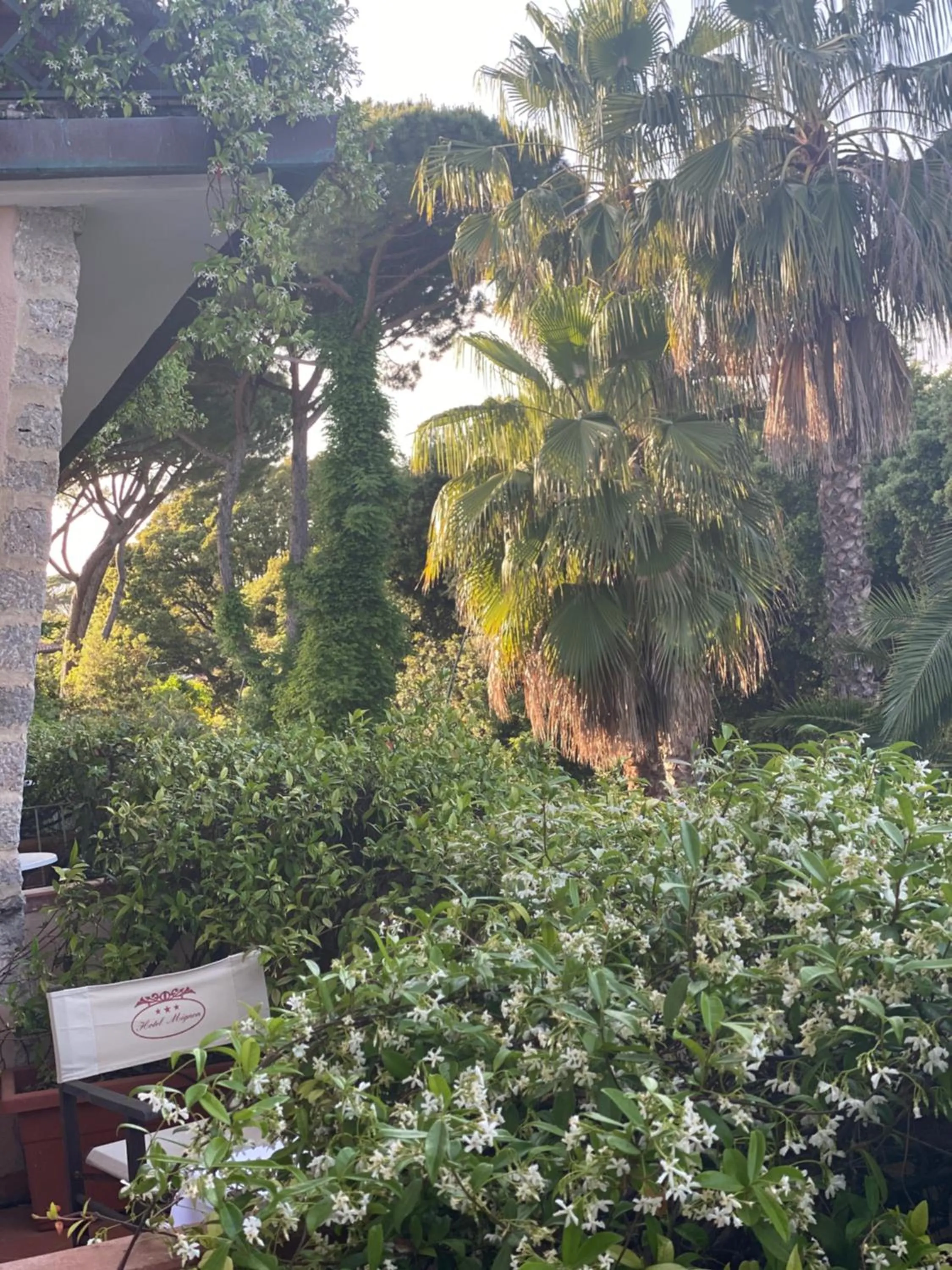 Hotel Mignon