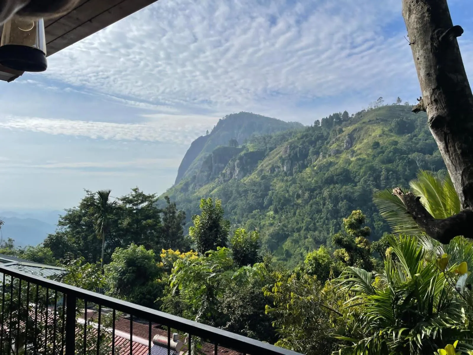 View (from property/room) in Country Homes