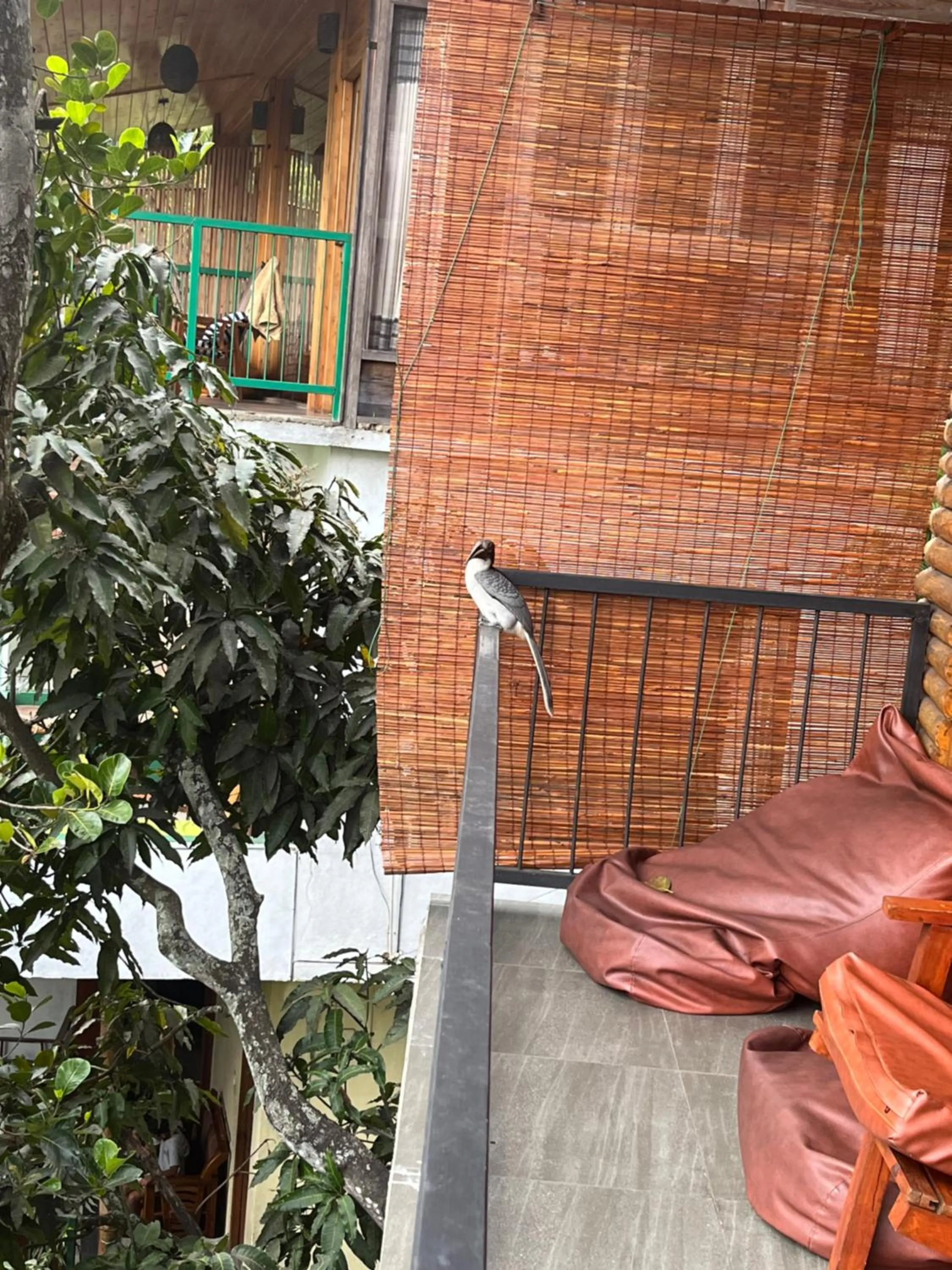 Patio in Country Homes