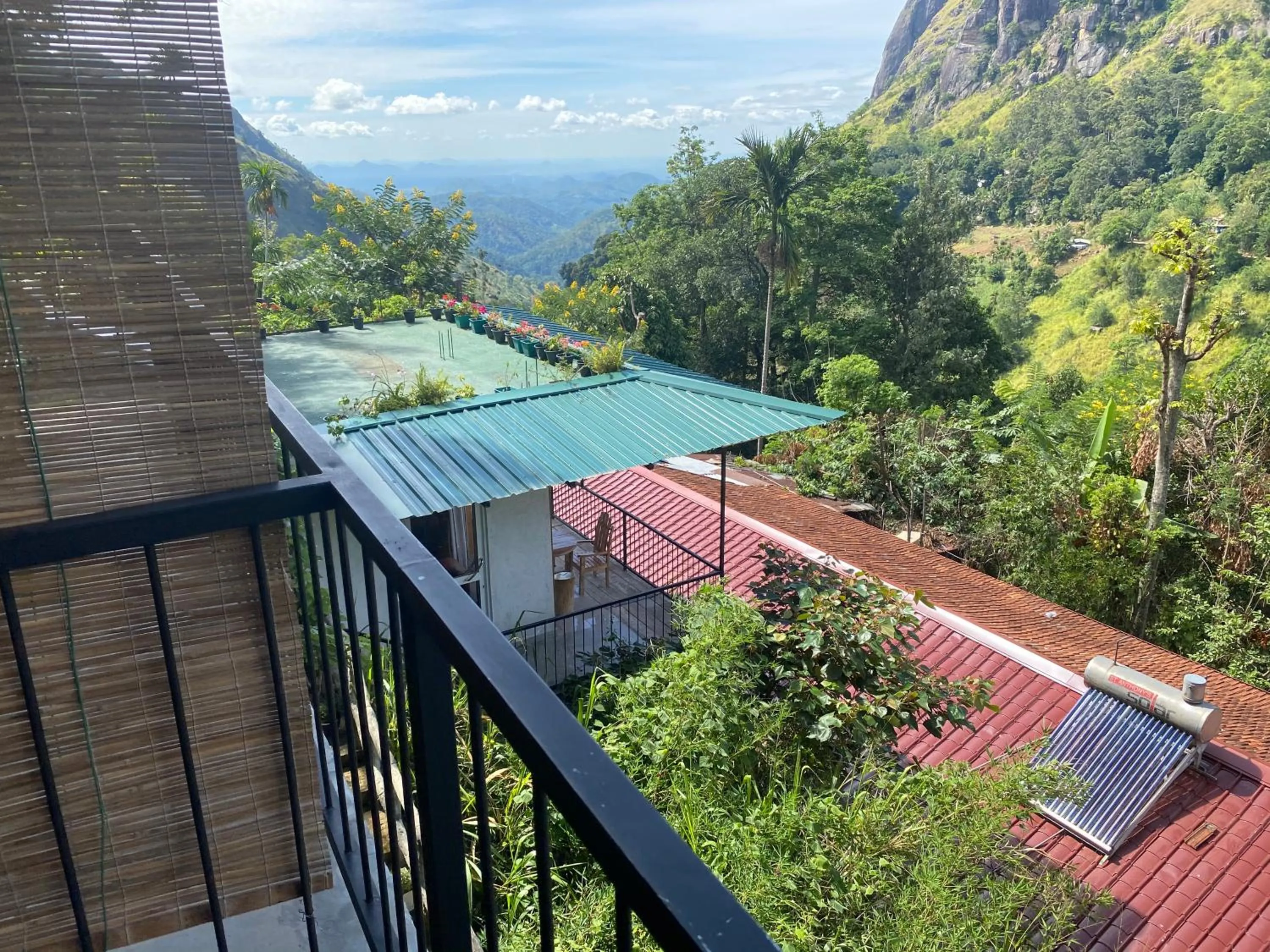 Natural landscape in Country Homes