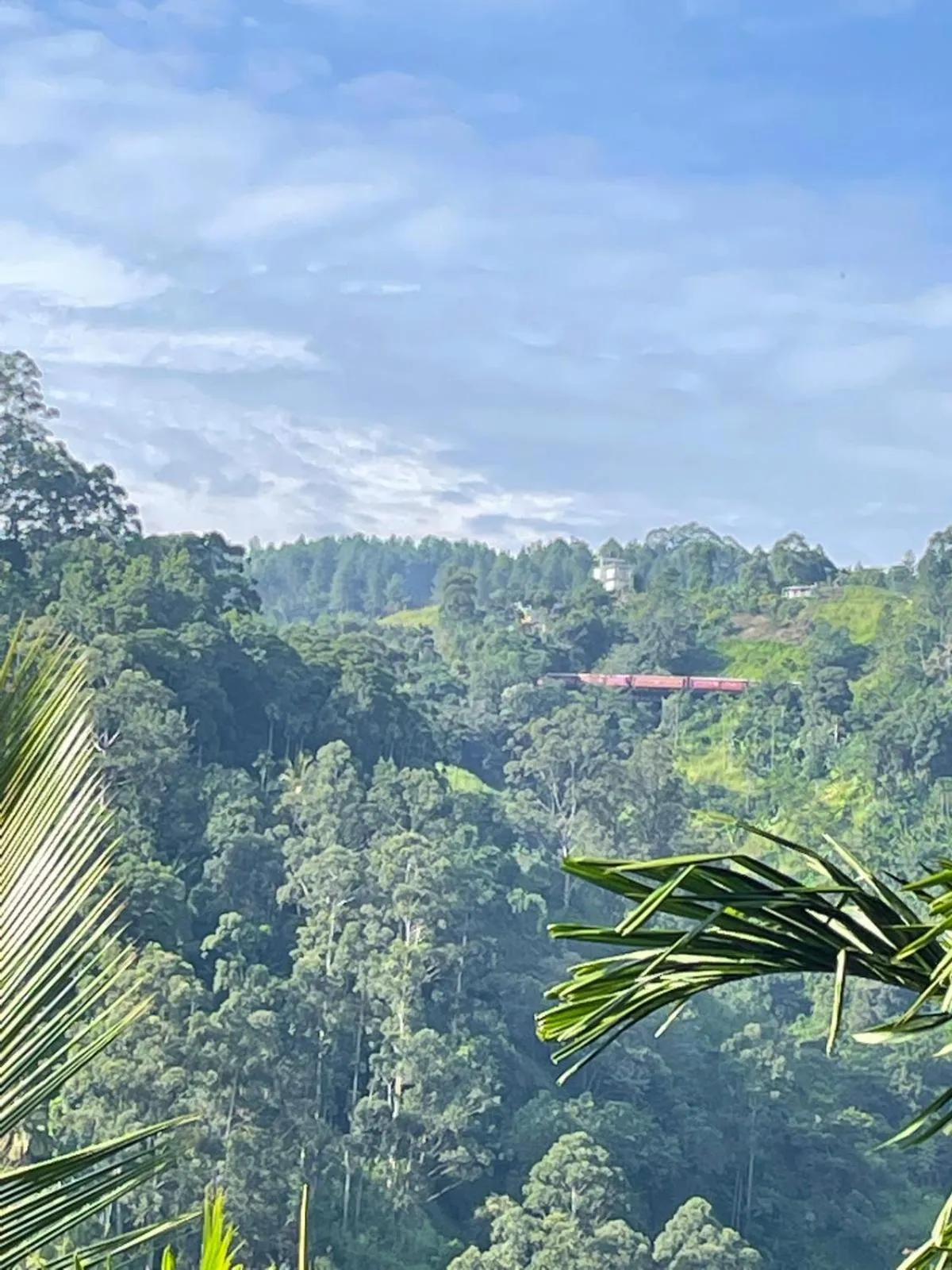 Mountain view in Country Homes