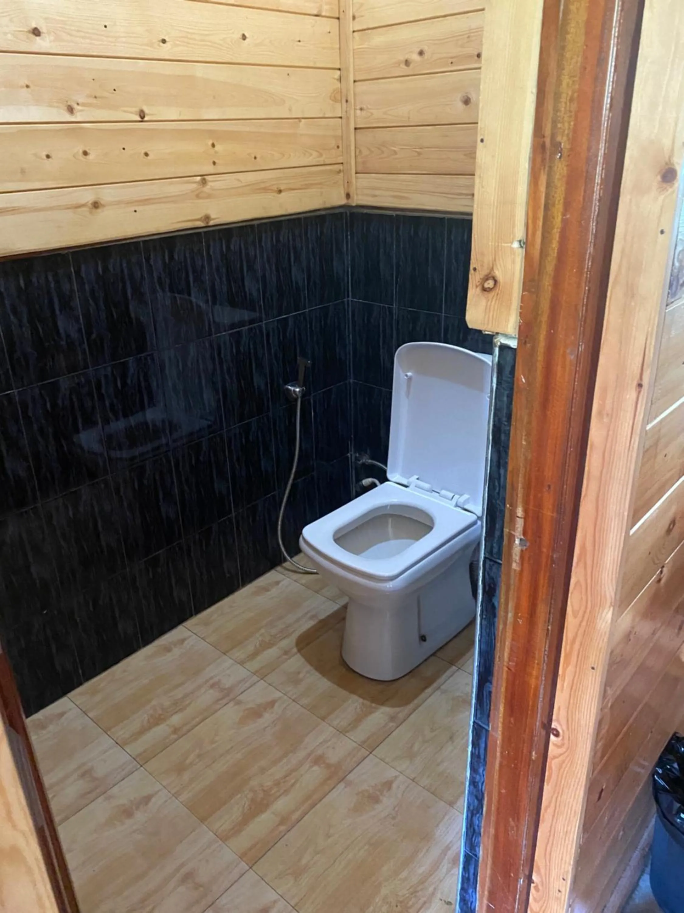 Toilet in Country Homes