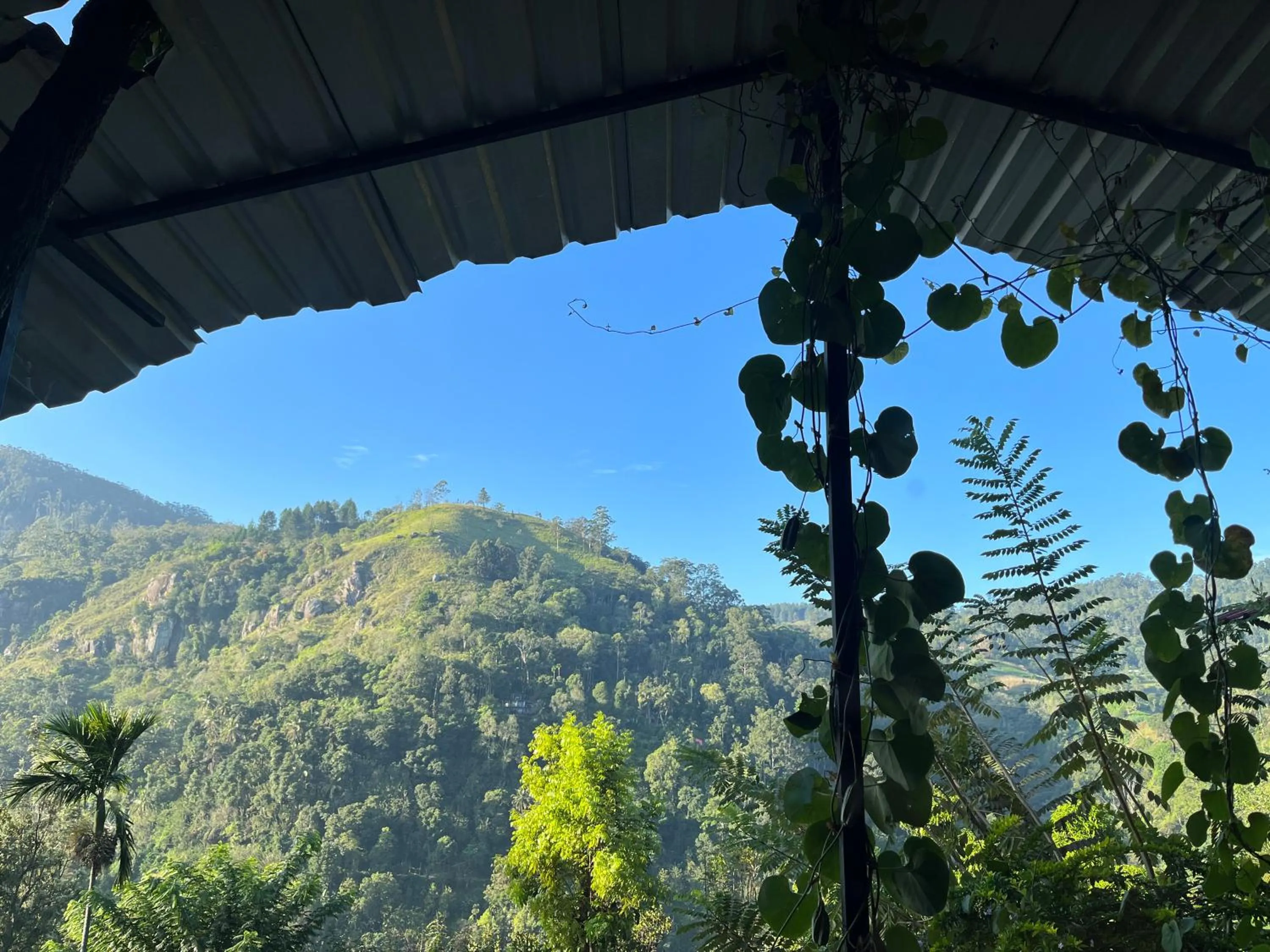 View (from property/room) in Country Homes
