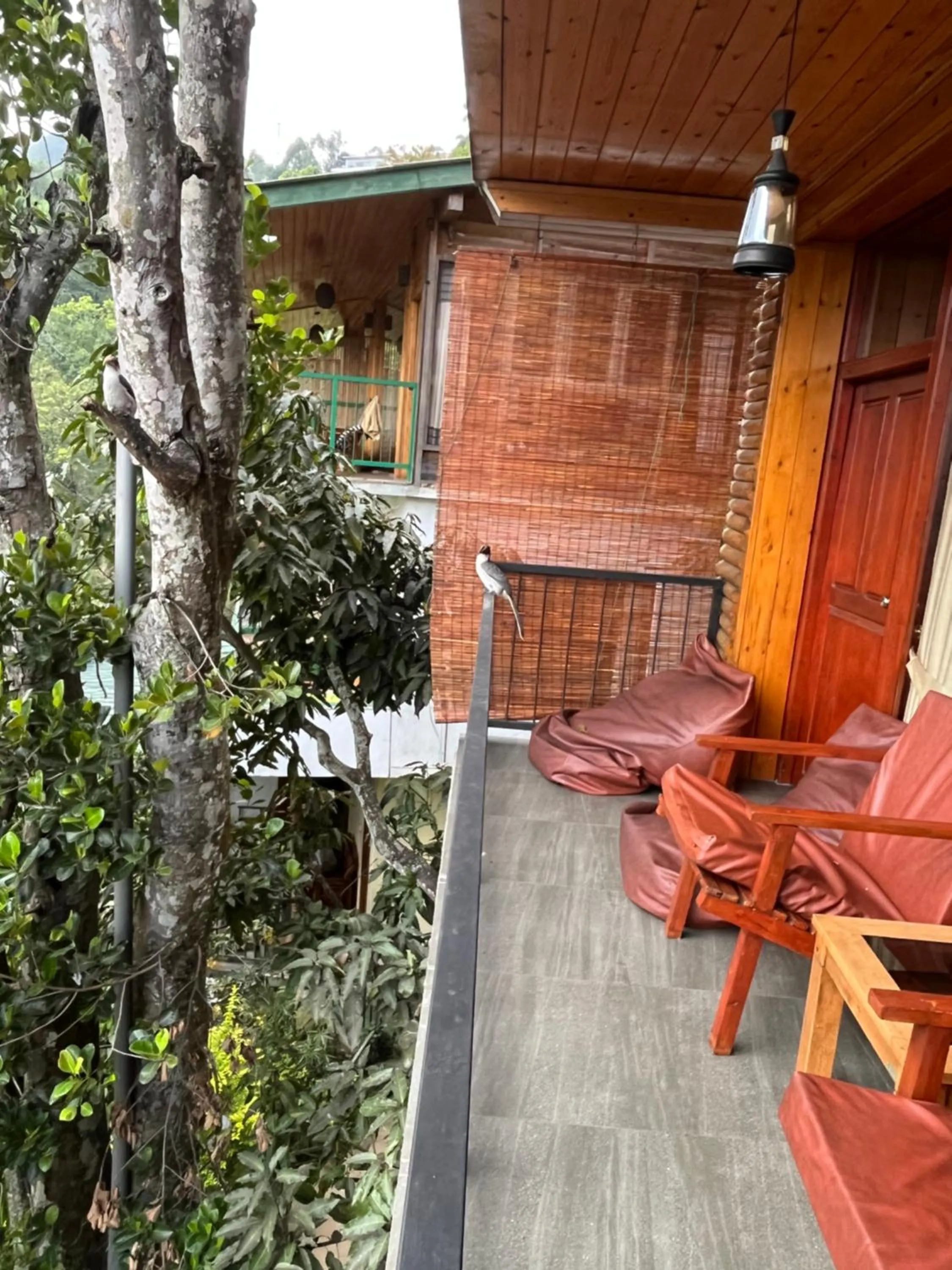 Patio in Country Homes