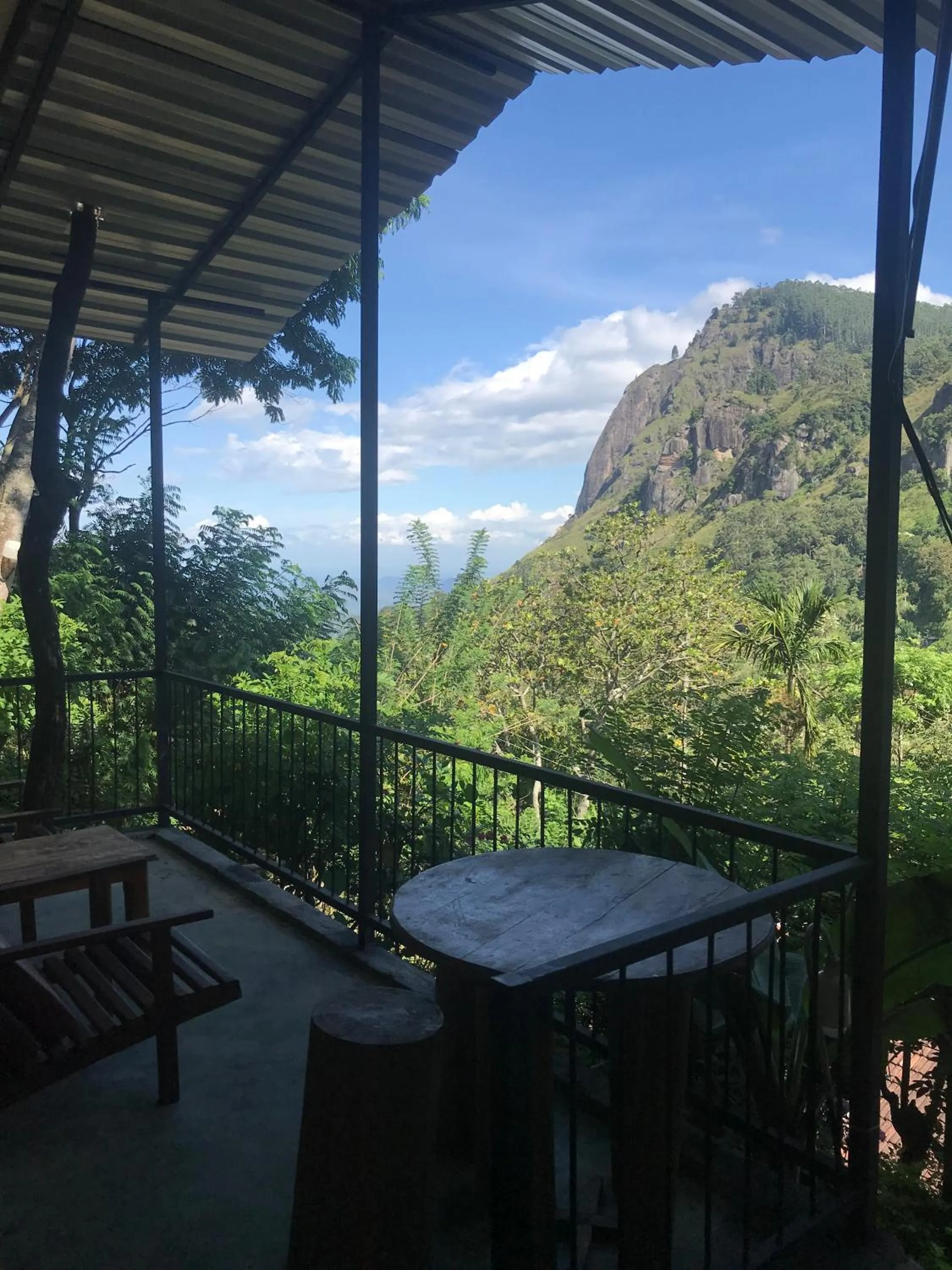 Natural landscape in Country Homes