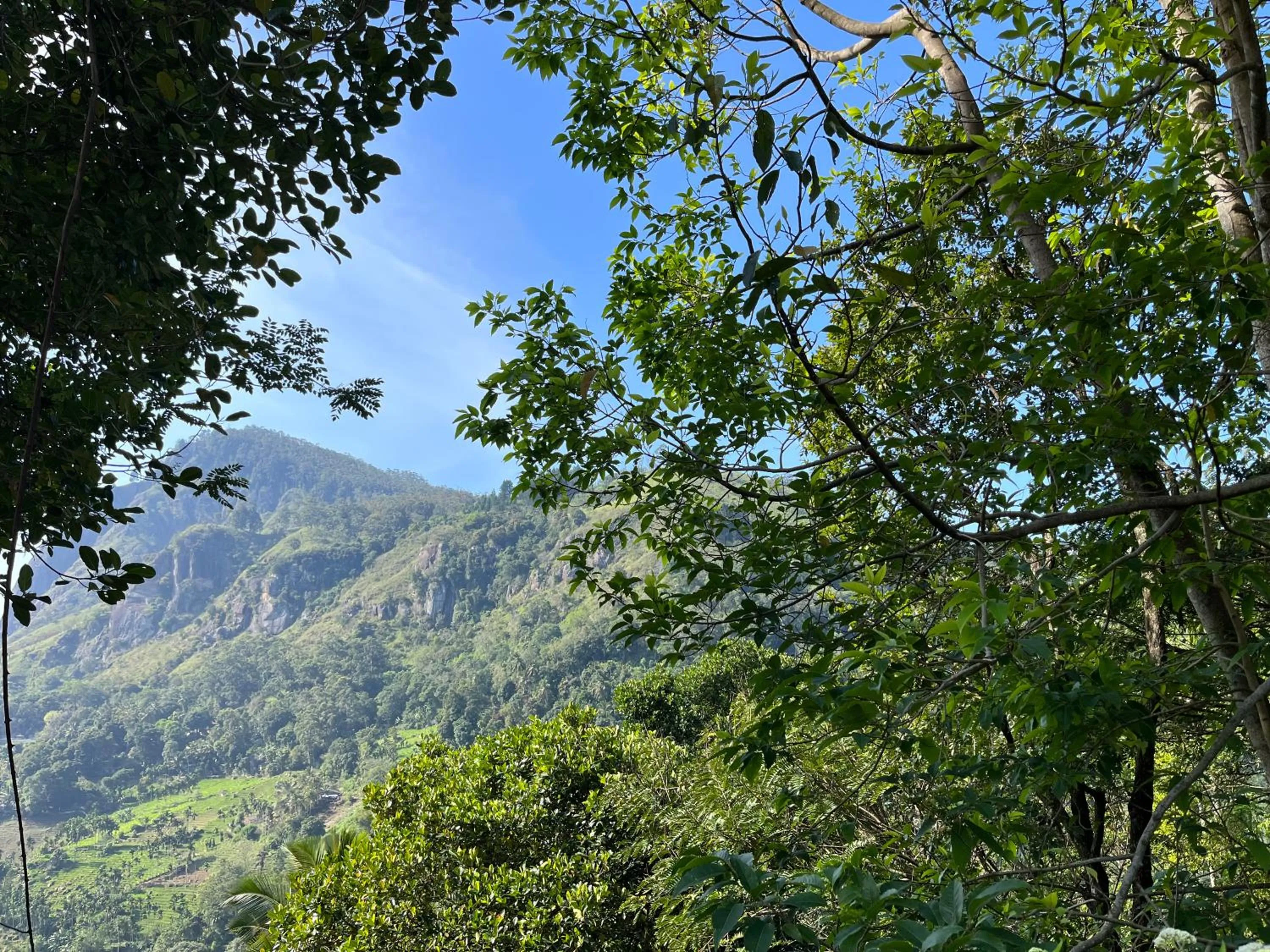 Mountain view in Country Homes