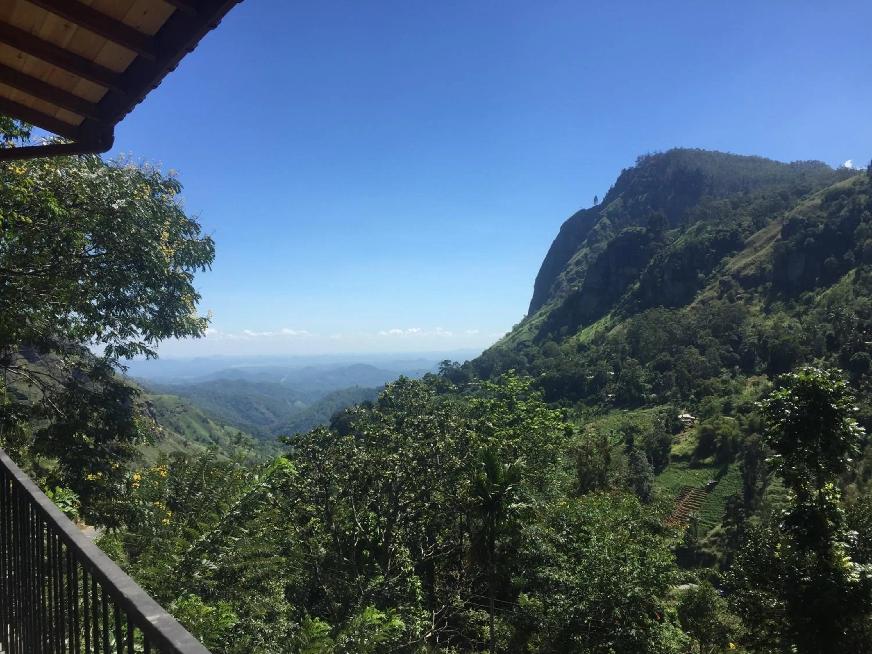 Mountain view in Country Homes