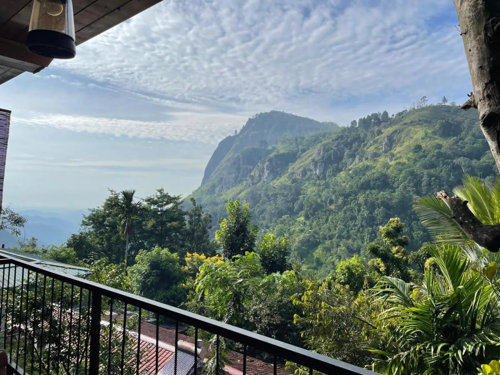 Balcony/Terrace in Country Homes