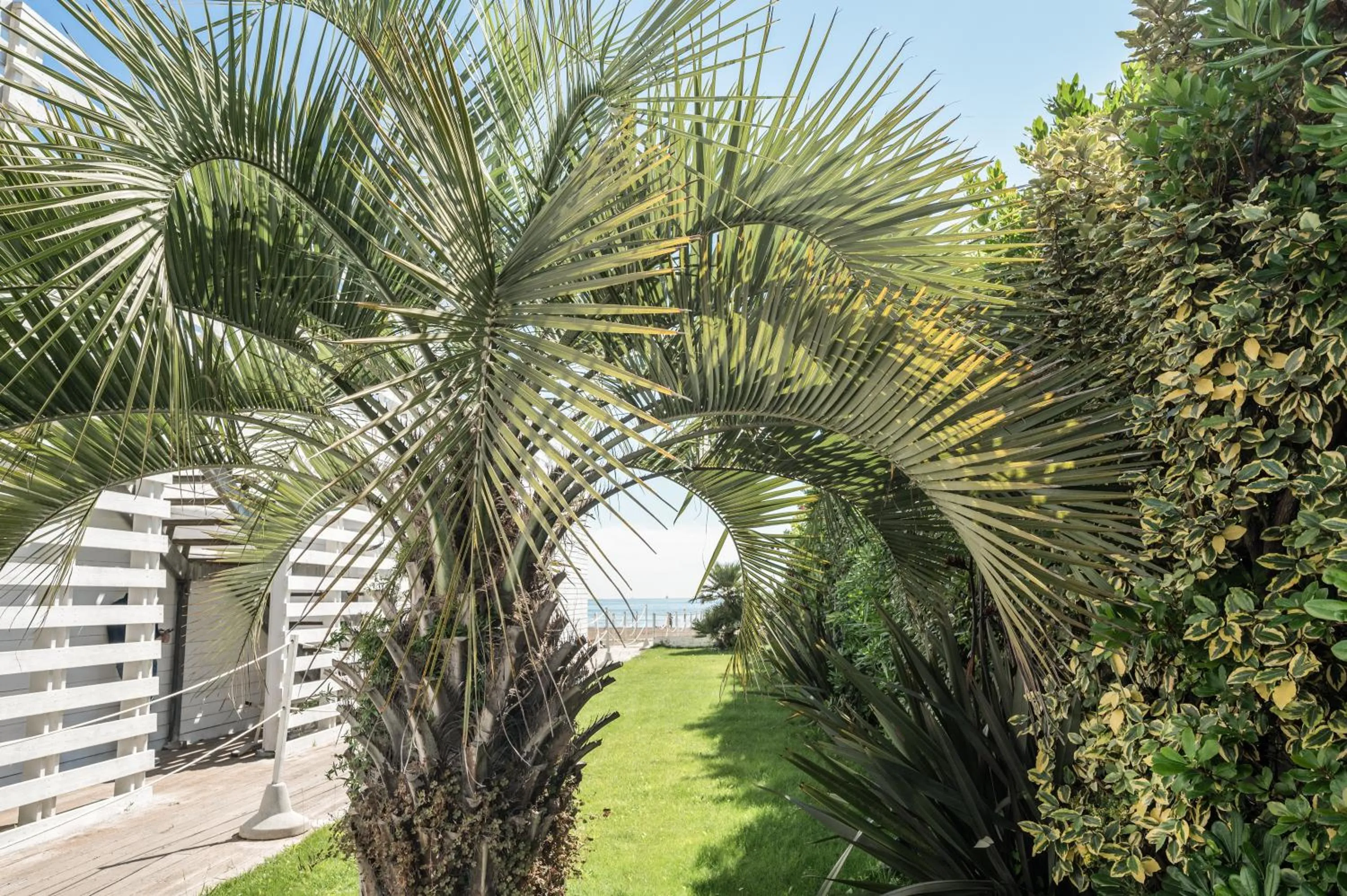 Garden in Terme Beach Resort