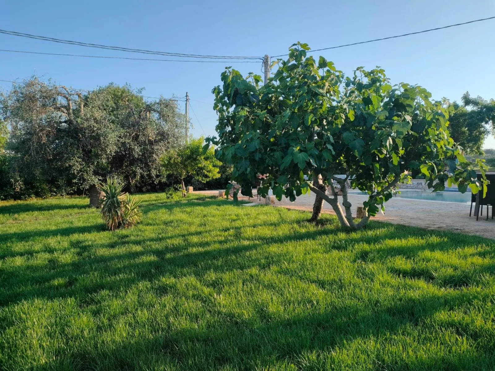 Day in Casolare Lodedo