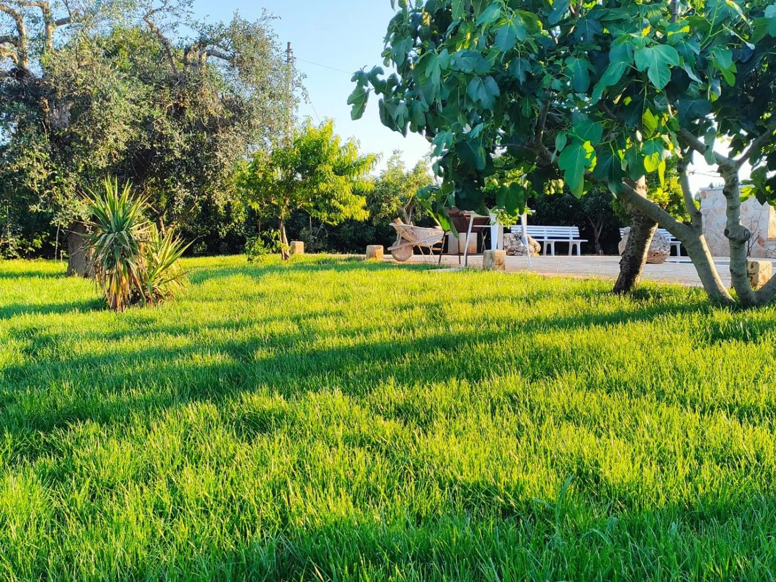 Day in Casolare Lodedo