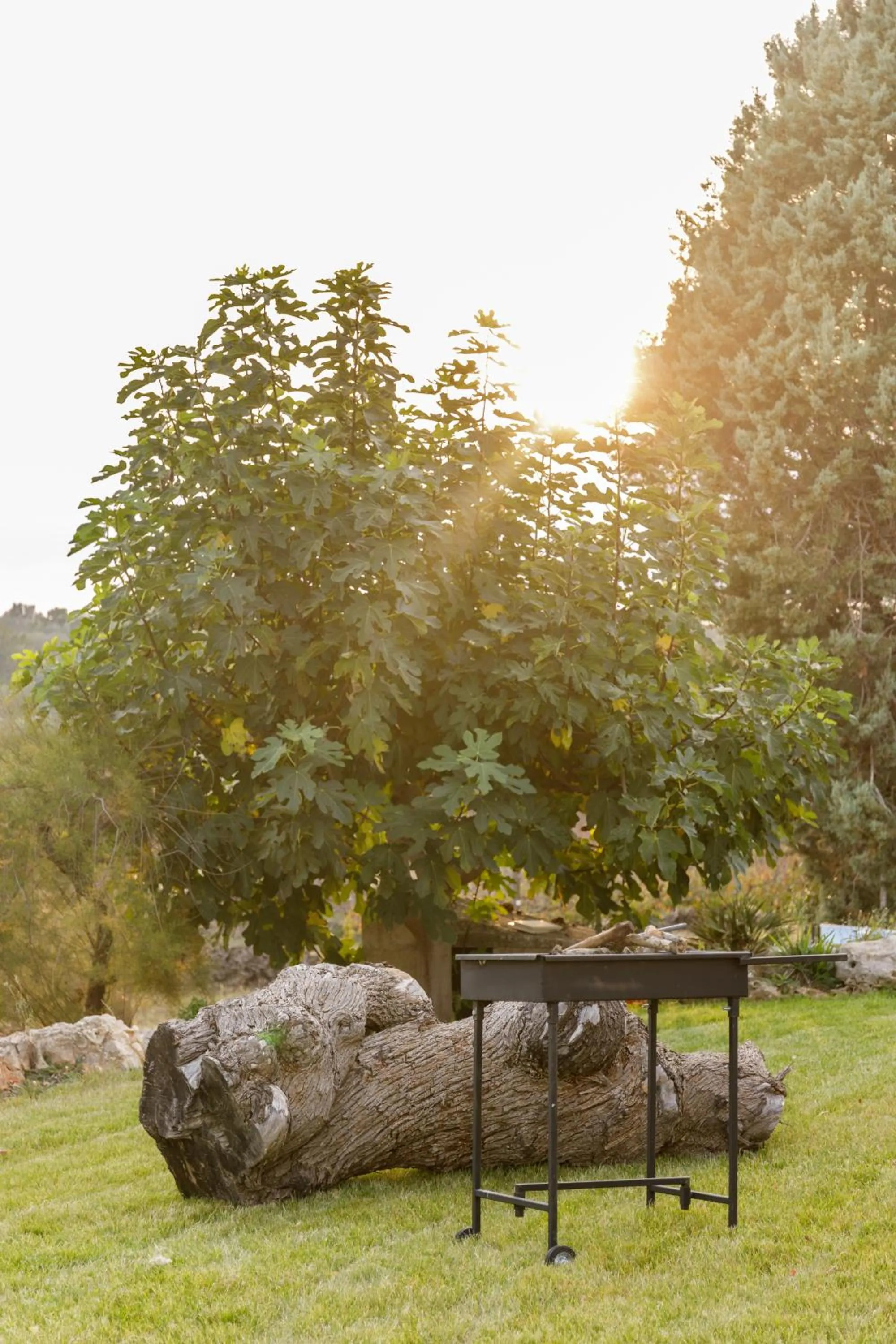 Natural landscape in Casolare Lodedo