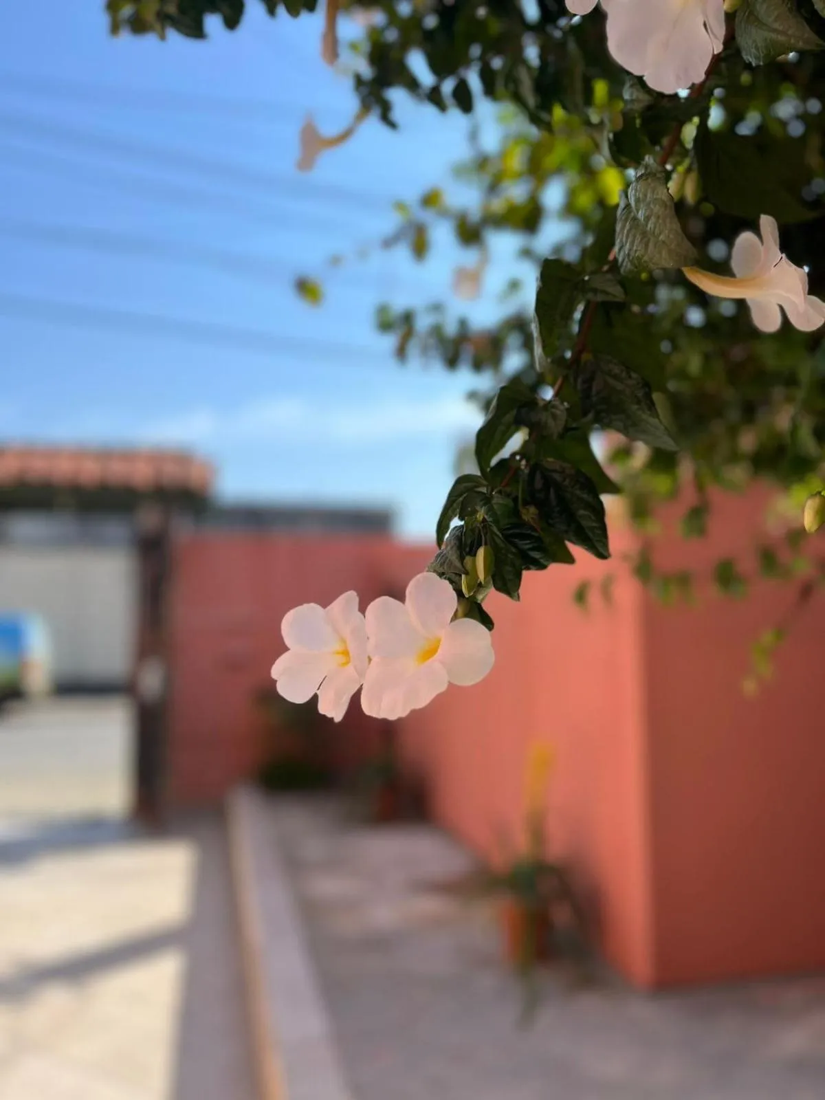 Day in Pousada Casa Rosada Ilhabela