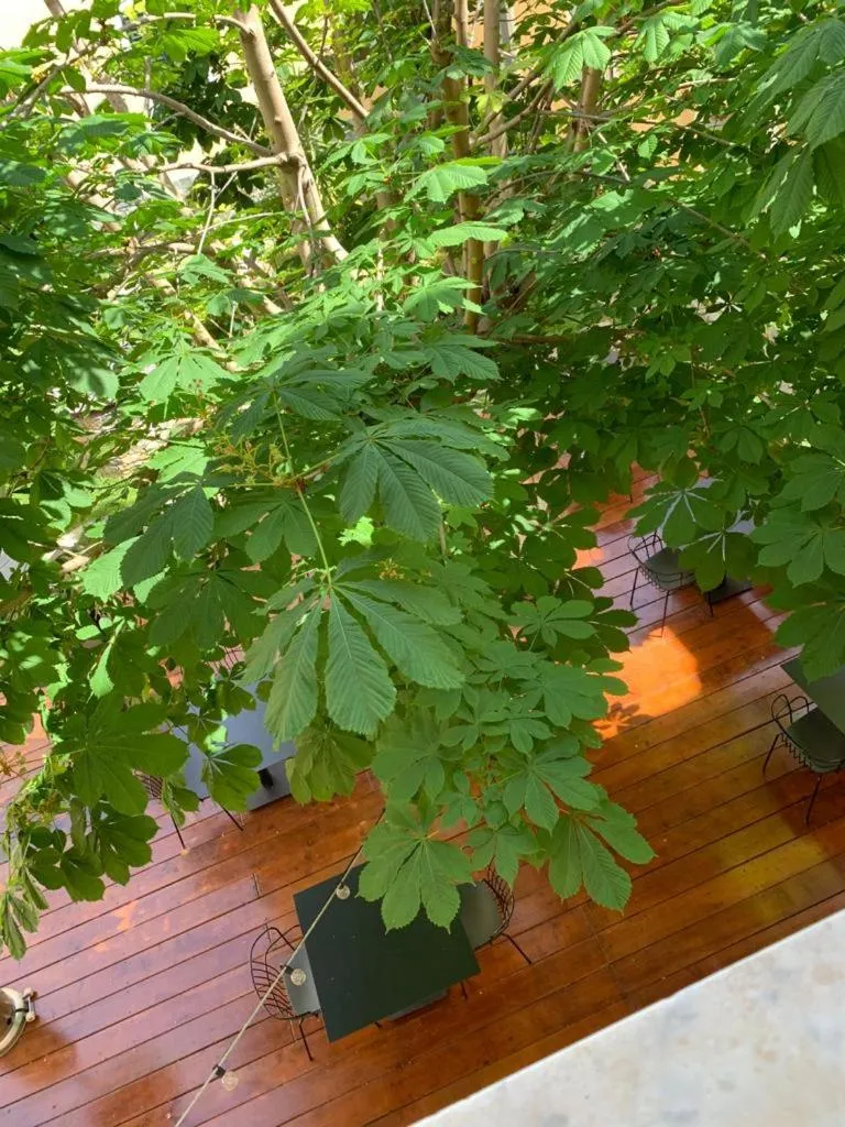 Relais Real Collegio