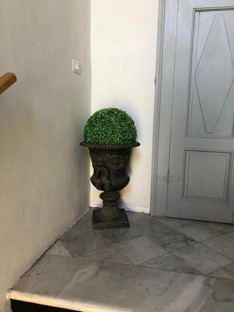 Relais Real Collegio