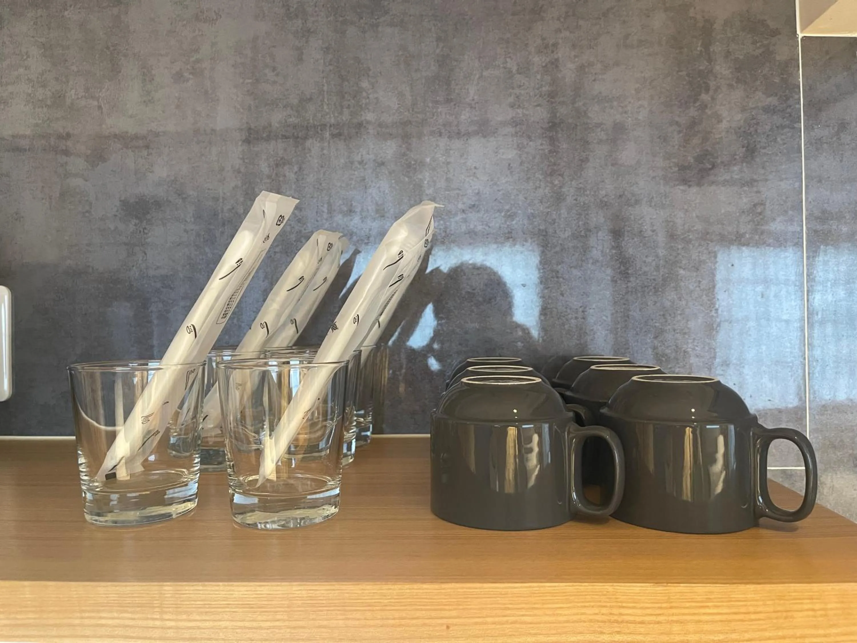 Area and facilities in Nplus Tokyo Akihabara Premium