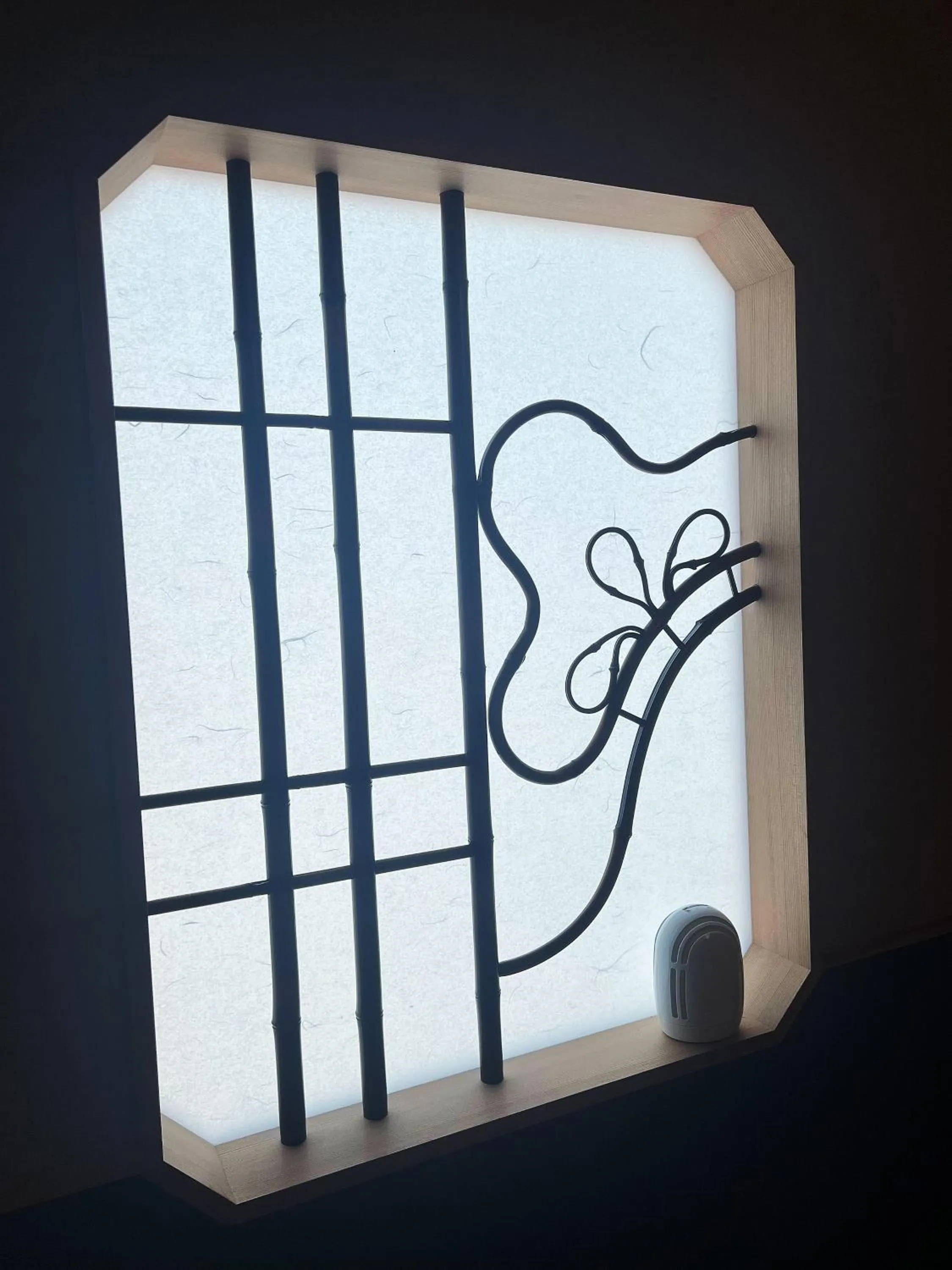 Photo of the whole room in Nplus Tokyo Akihabara Premium