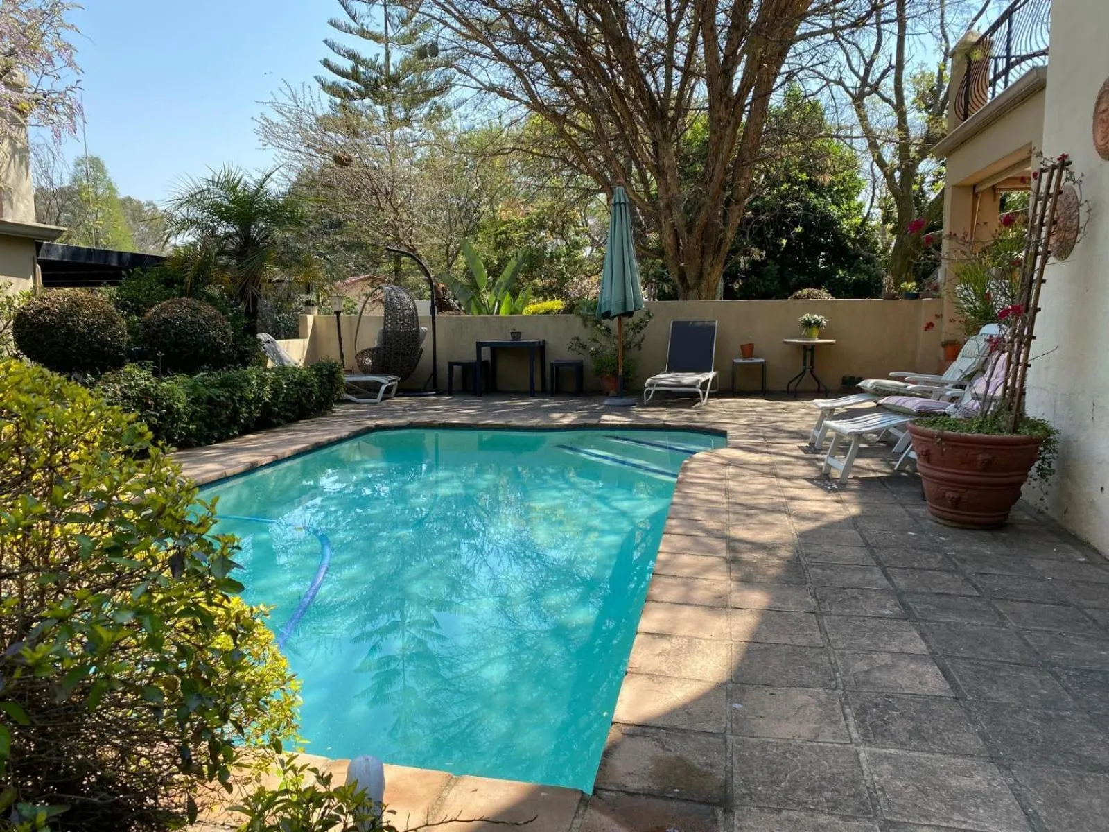 Swimming pool in Tuscan Rose