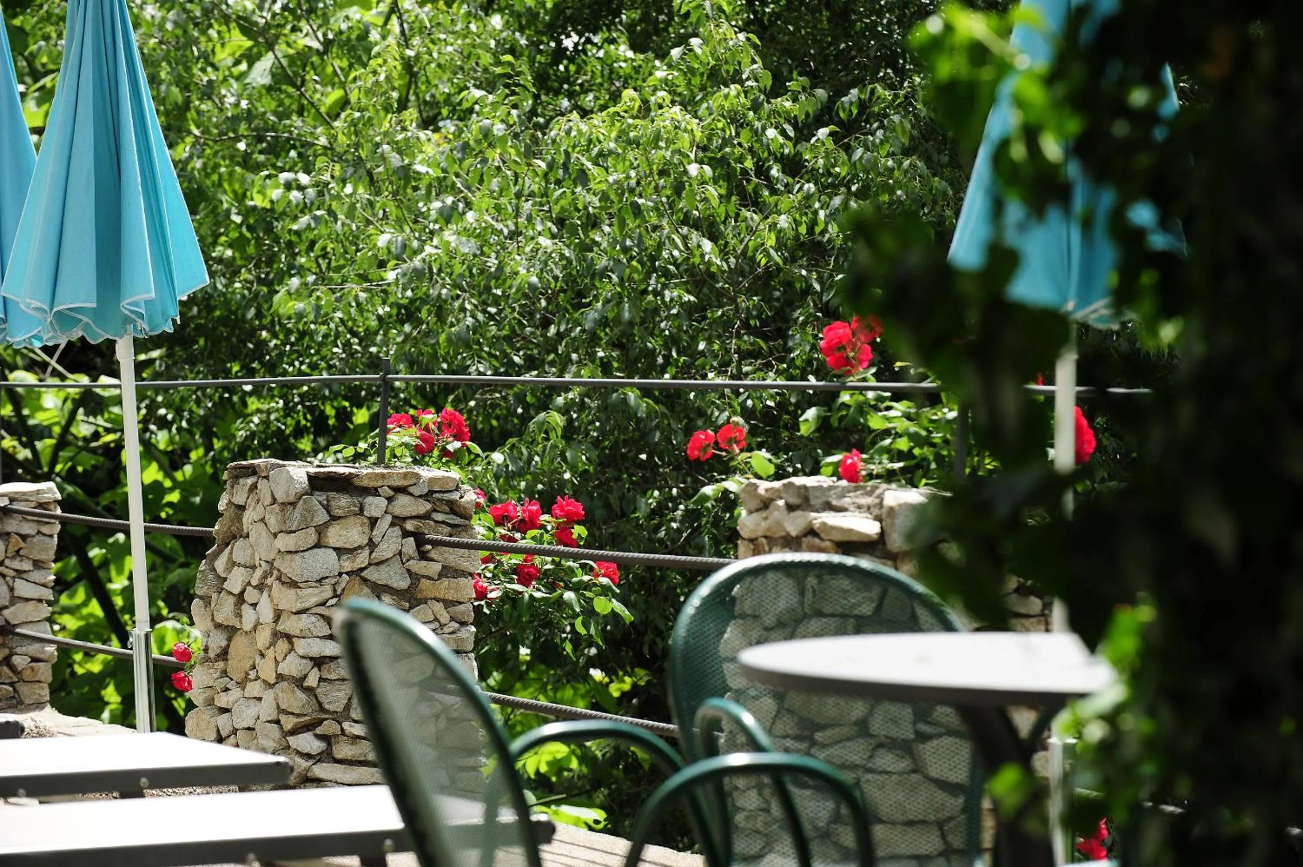 Garden in Villa Sasso