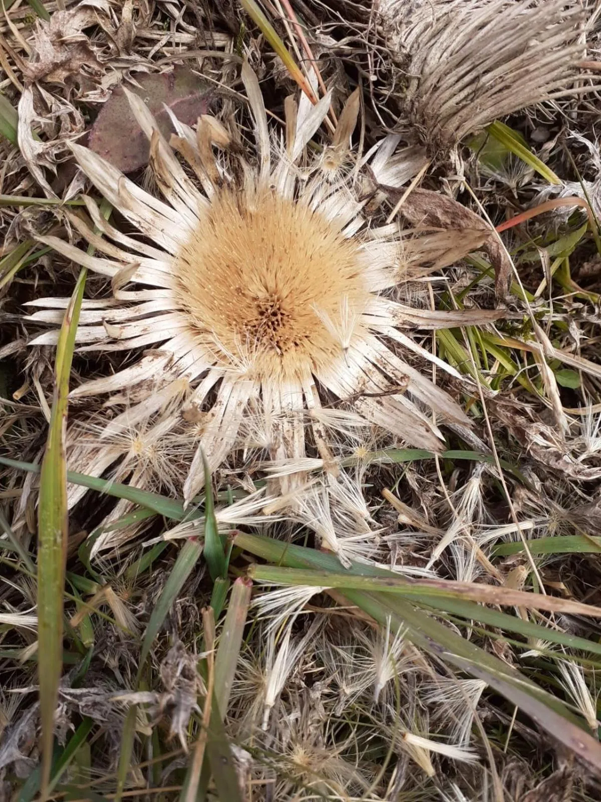 Area and facilities in Berggasthof Sonne Allgäu