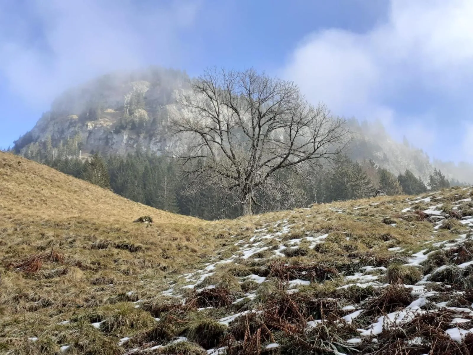 Area and facilities in Berggasthof Sonne Allgäu