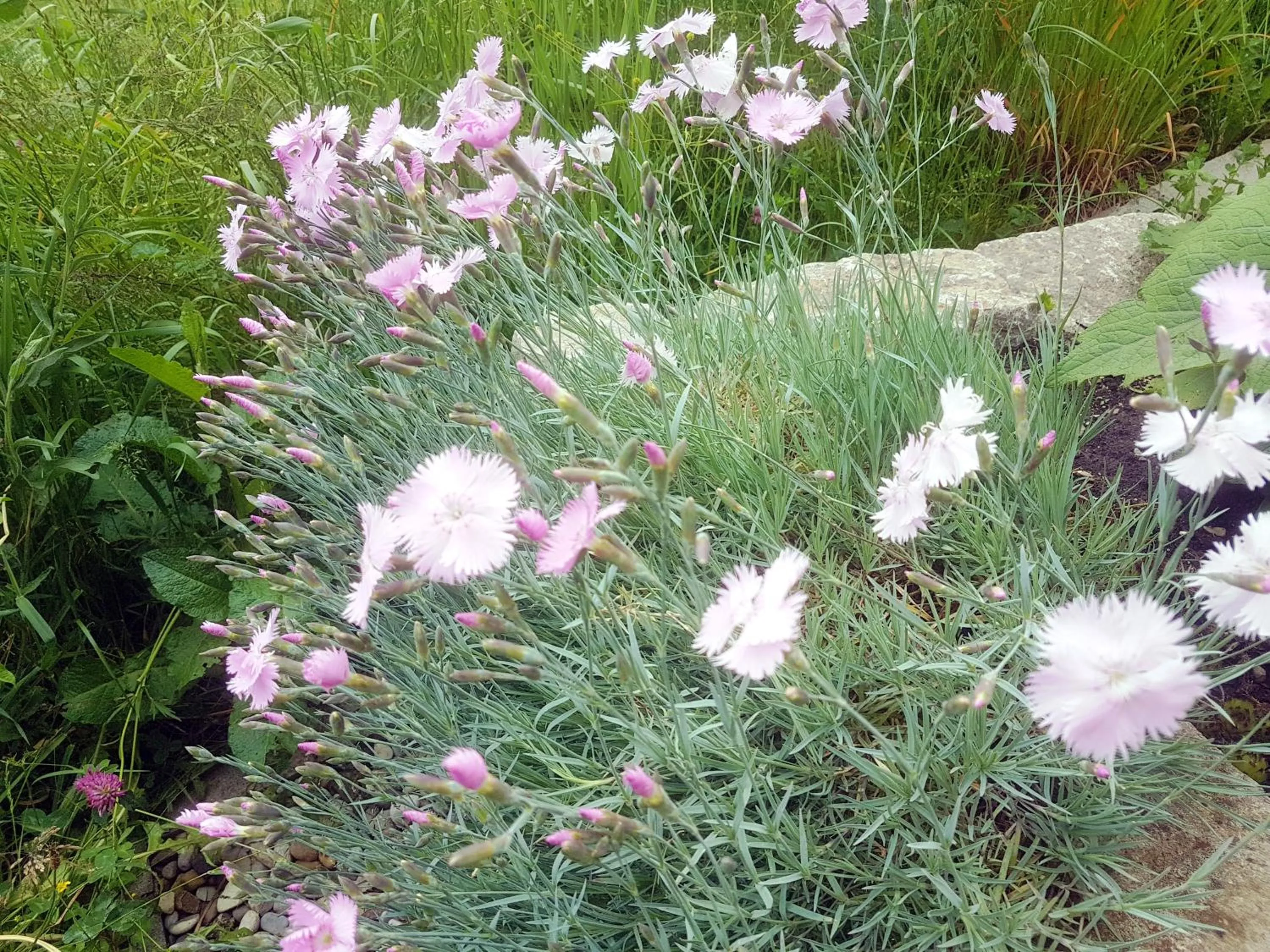 Area and facilities in Berggasthof Sonne Allgäu