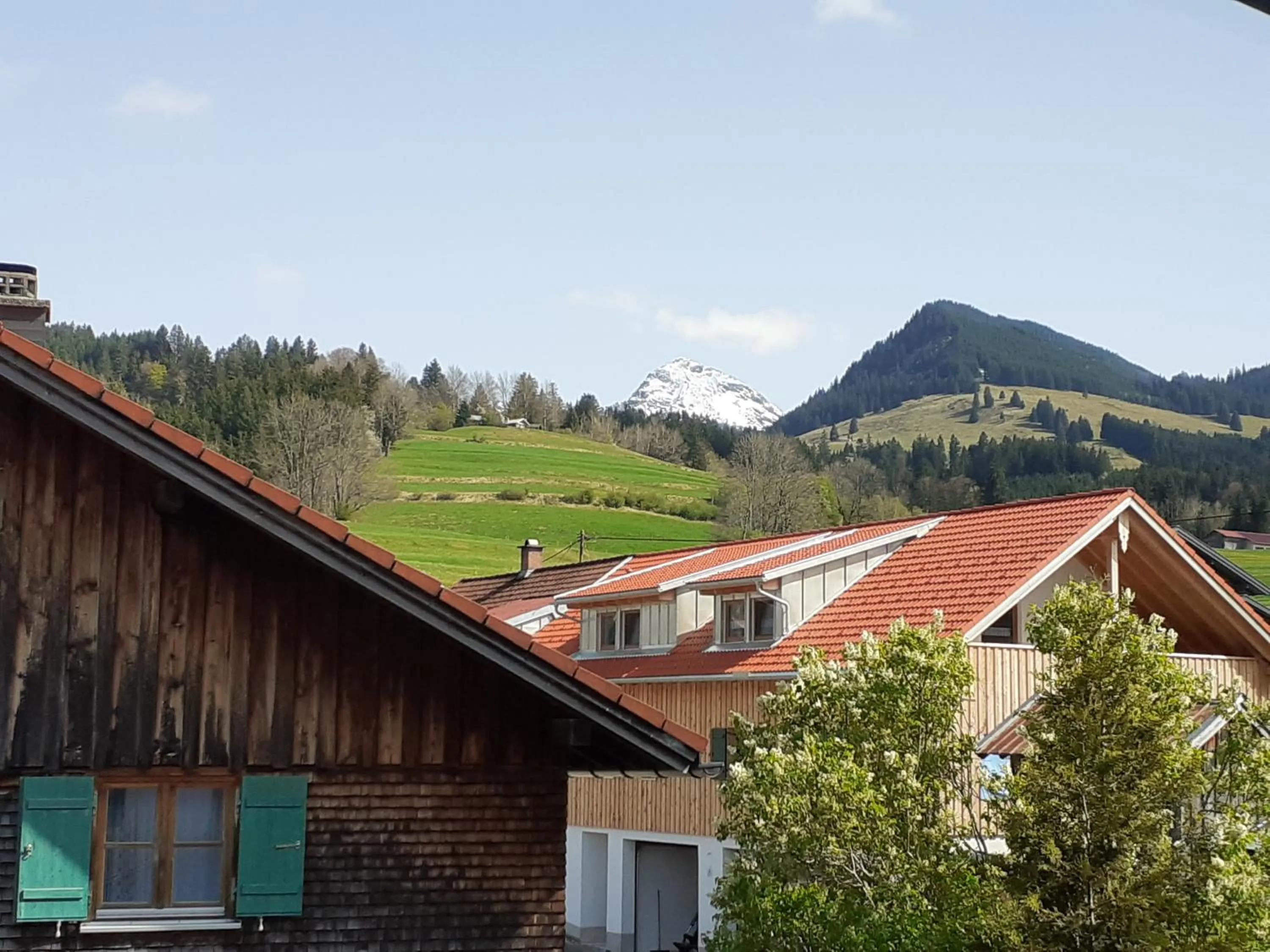 View (from property/room) in Berggasthof Sonne Allgäu