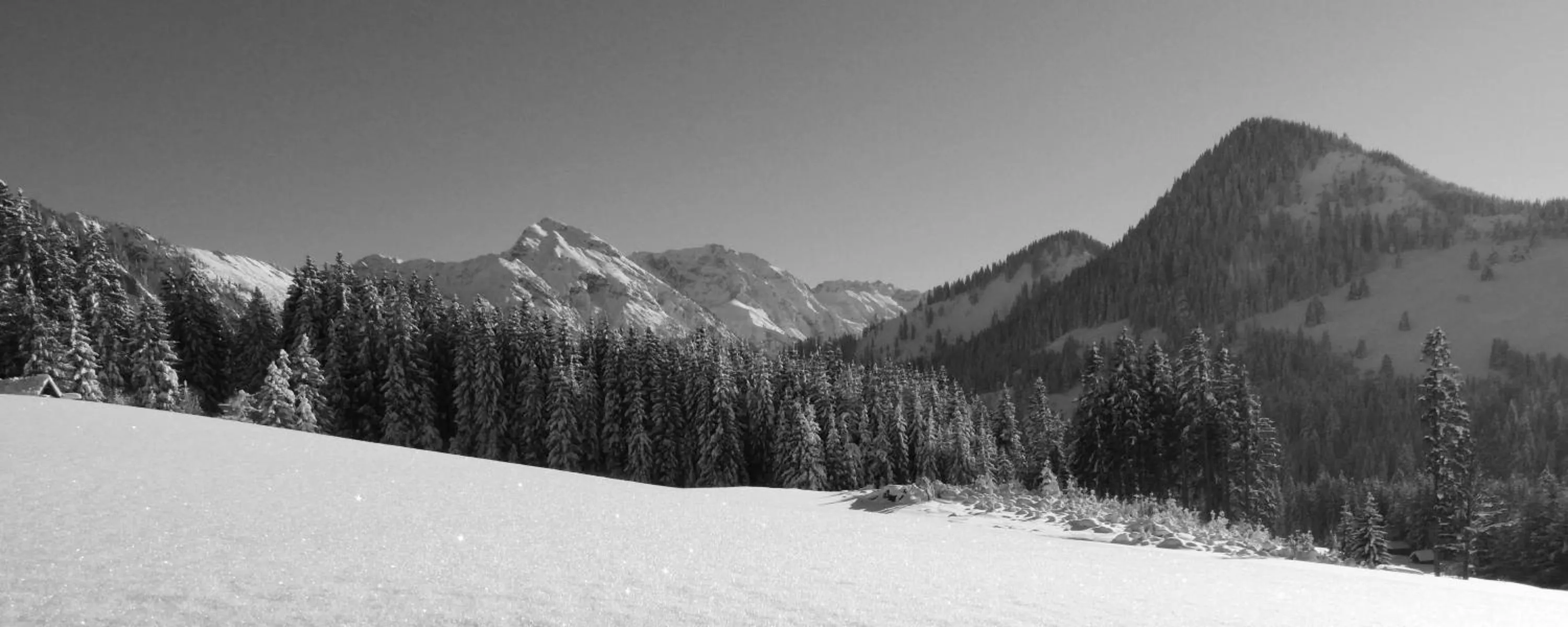 Off site in Berggasthof Sonne Allgäu