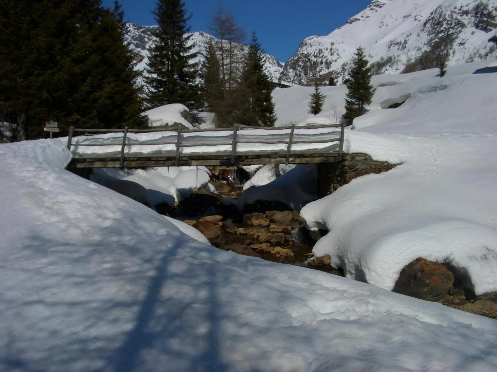 Natural landscape in Hotel Rezia