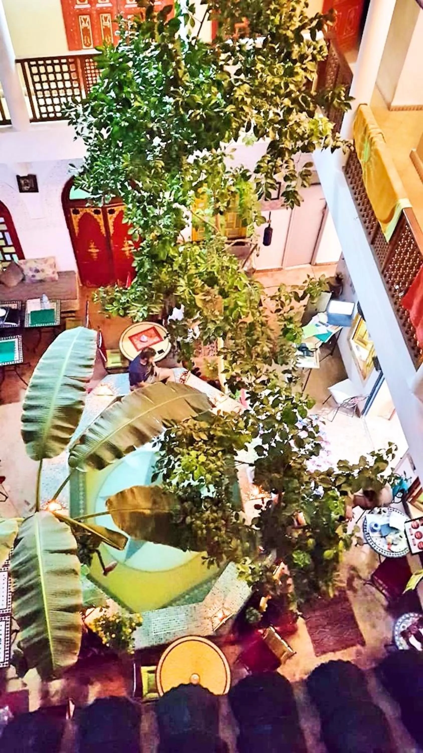 Riad Dia
