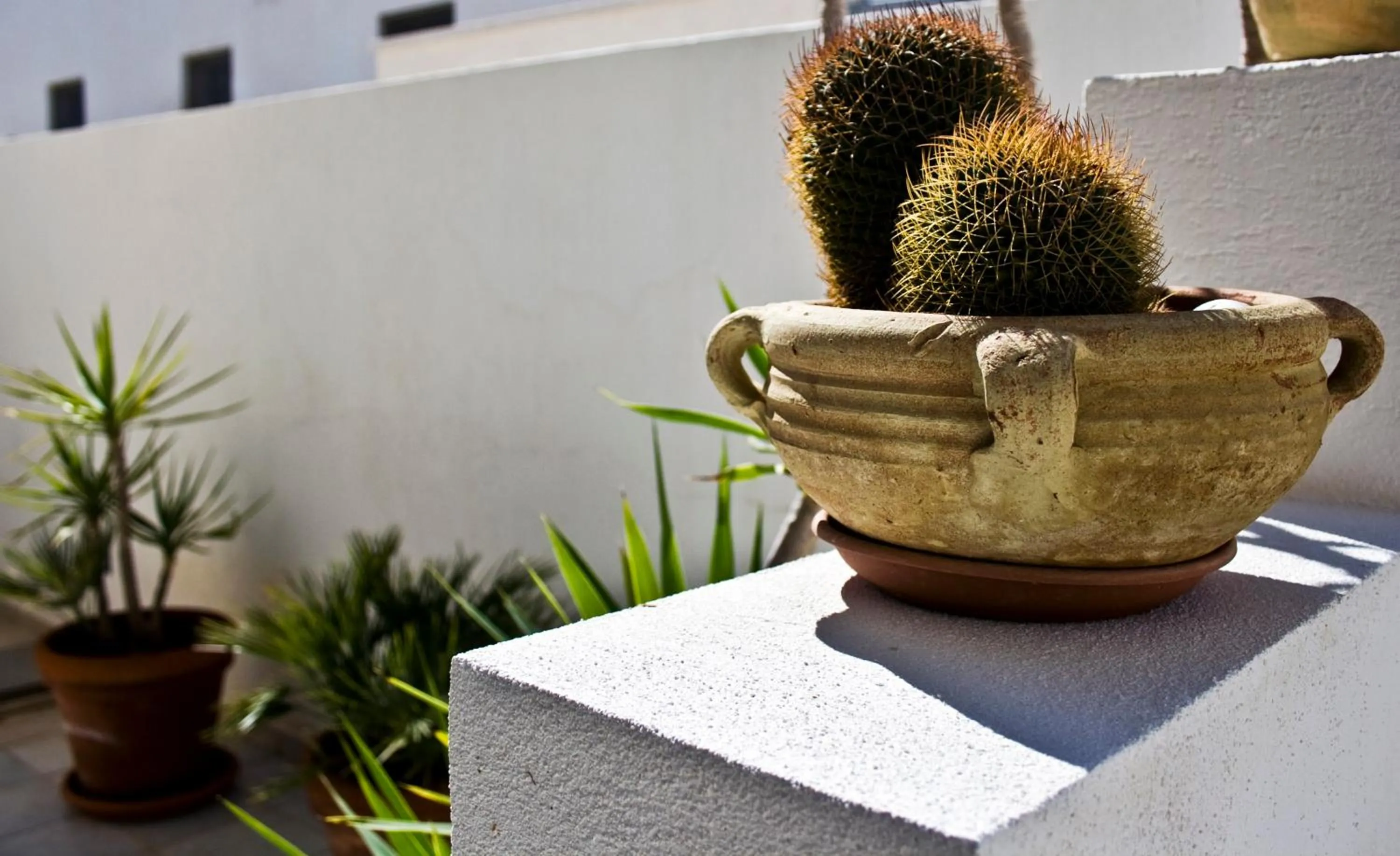 Decorative detail in Poseidon Residence