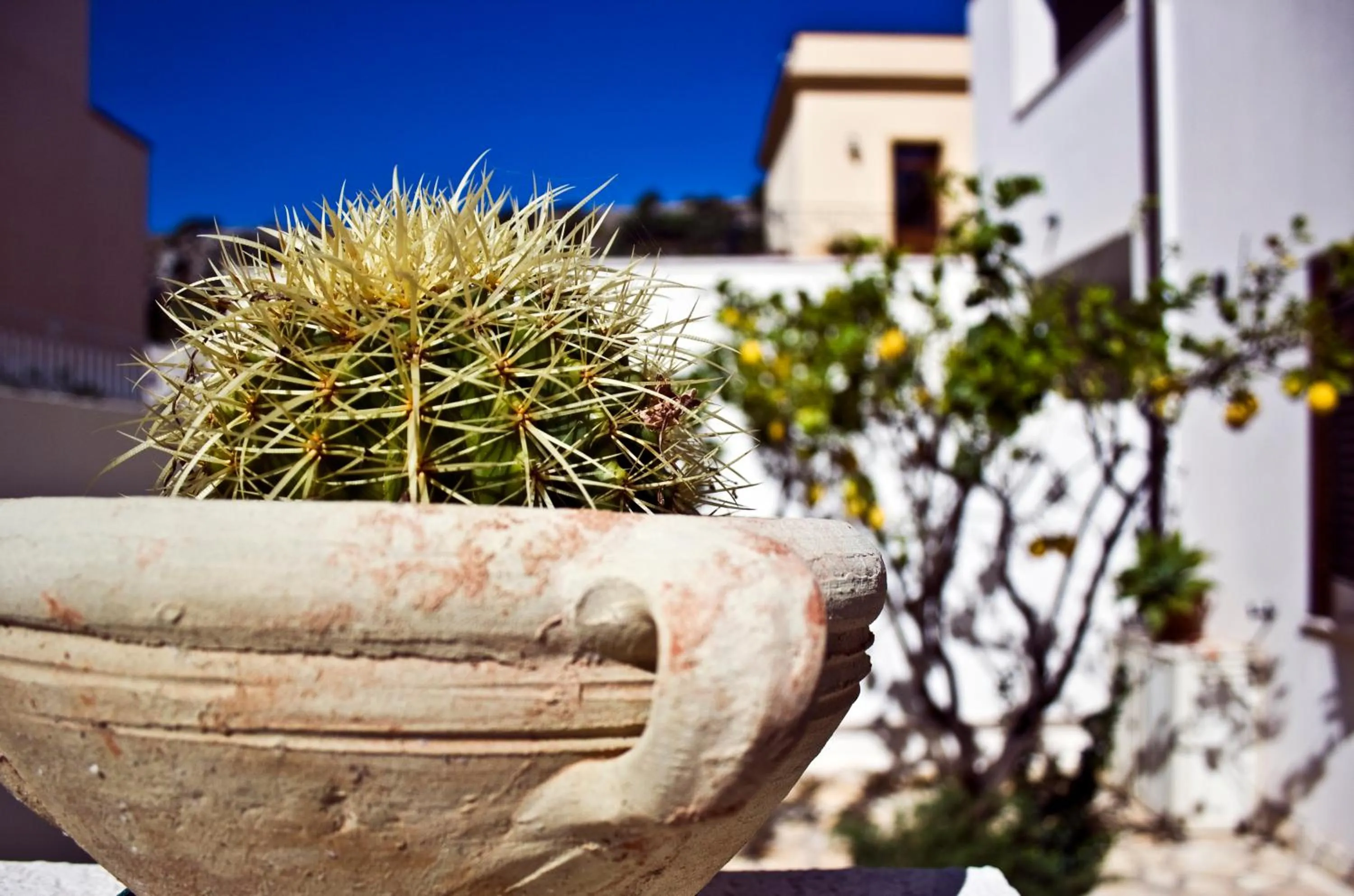 Decorative detail in Poseidon Residence