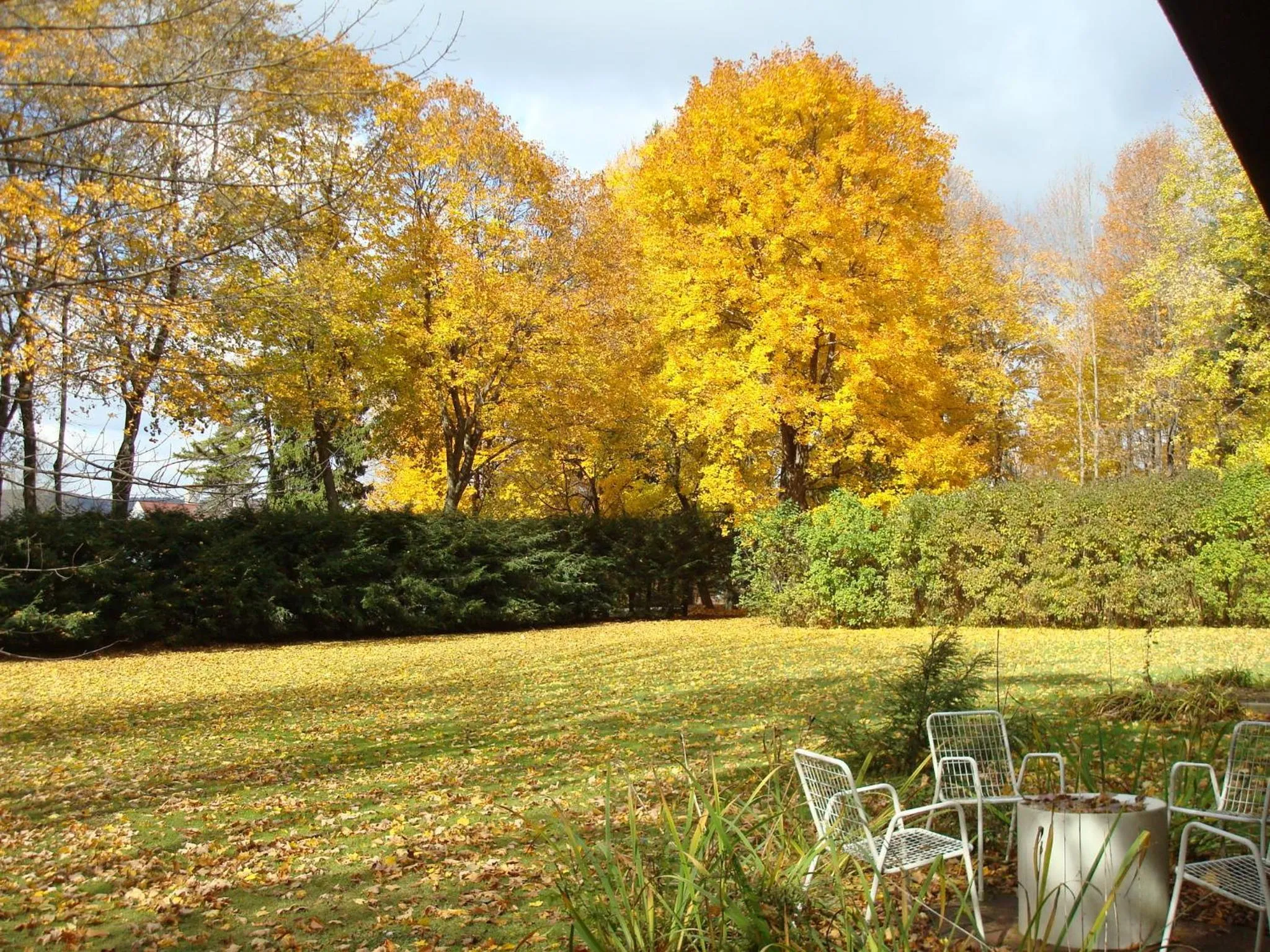 Balcony/Terrace in The Cottage