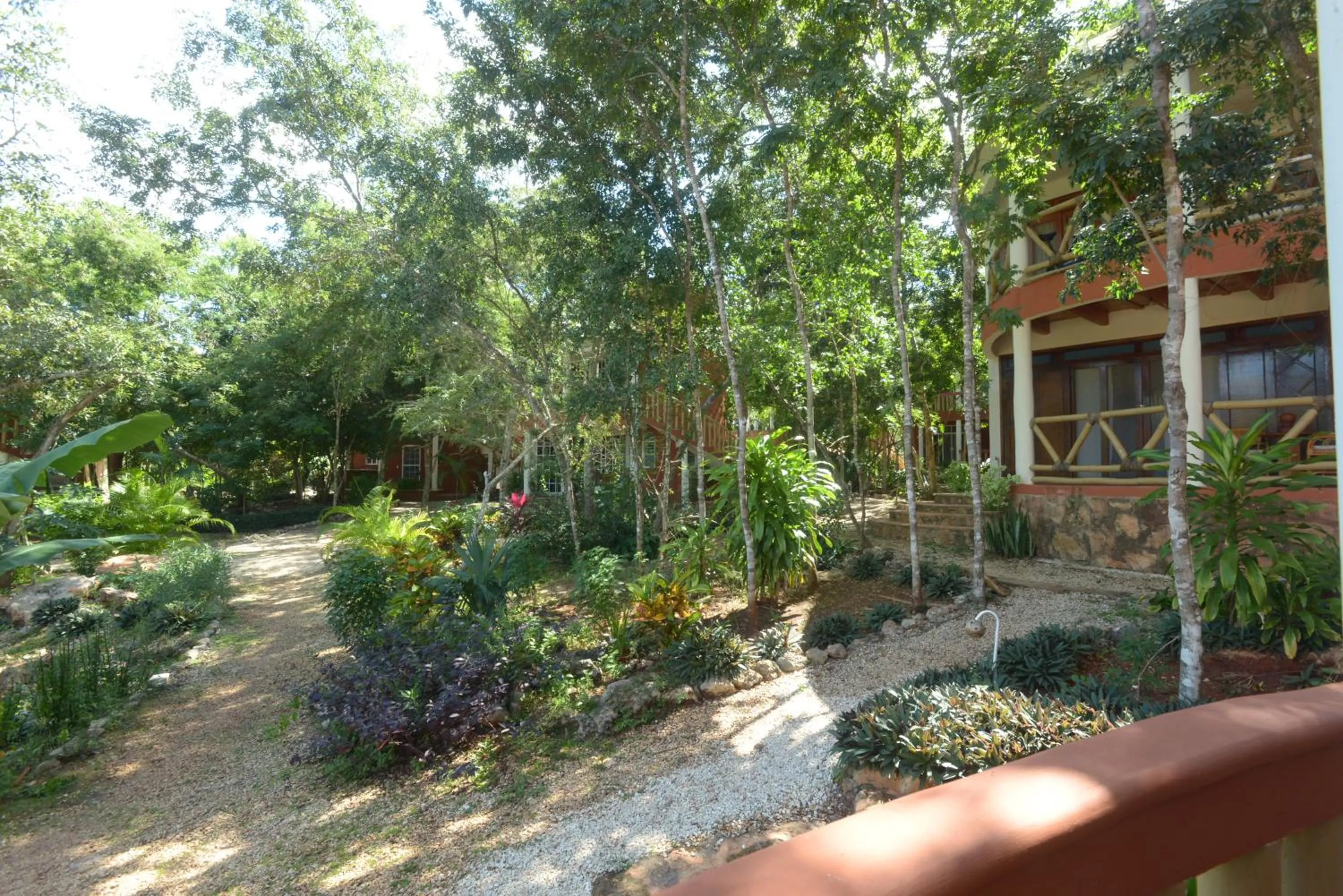 Garden in Eco-Hotel Nueva Altia