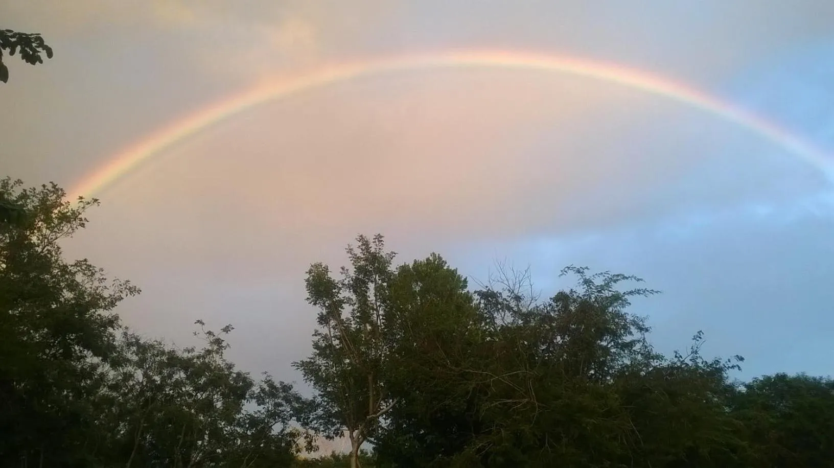 View (from property/room) in Eco-Hotel Nueva Altia