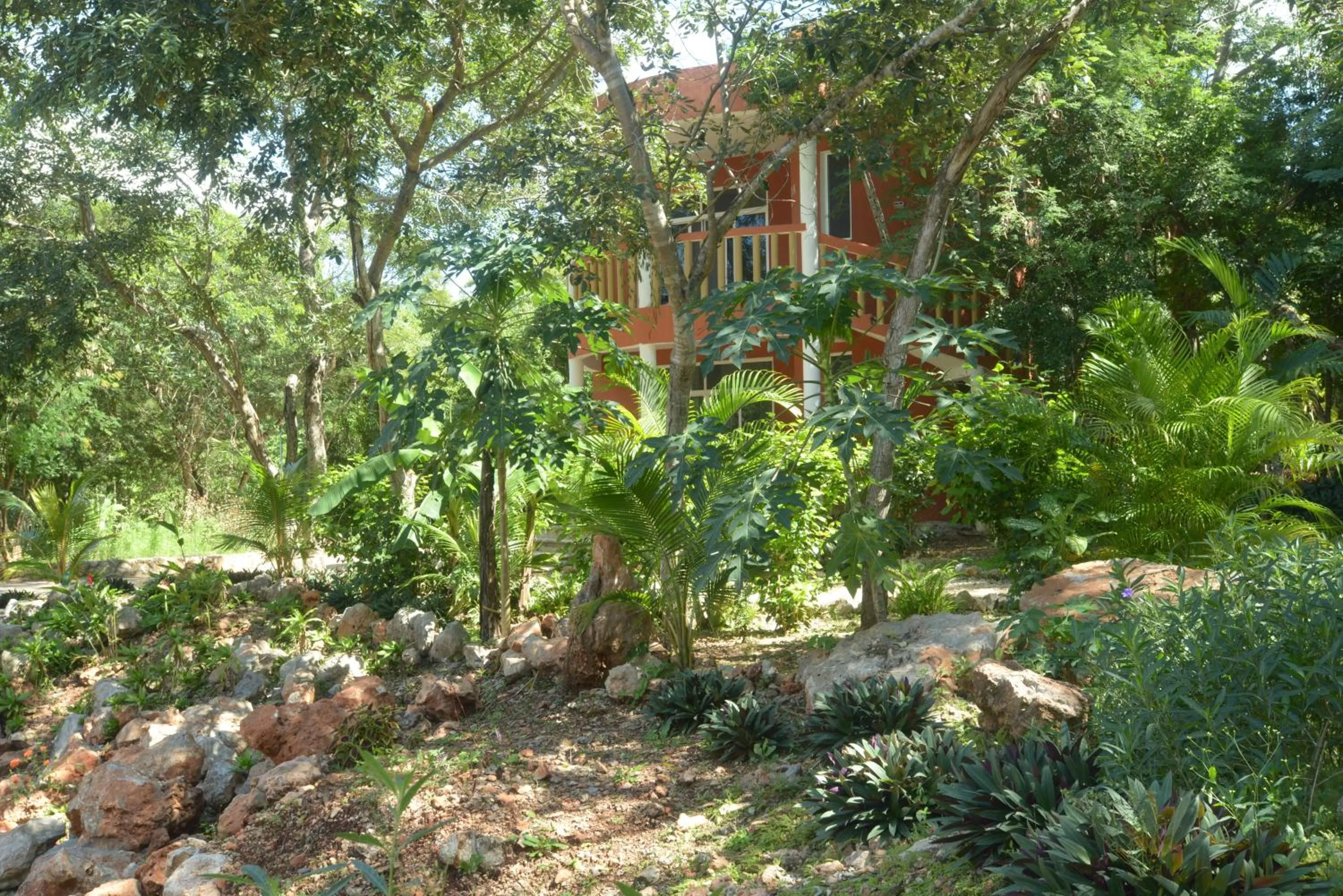 Garden in Eco-Hotel Nueva Altia