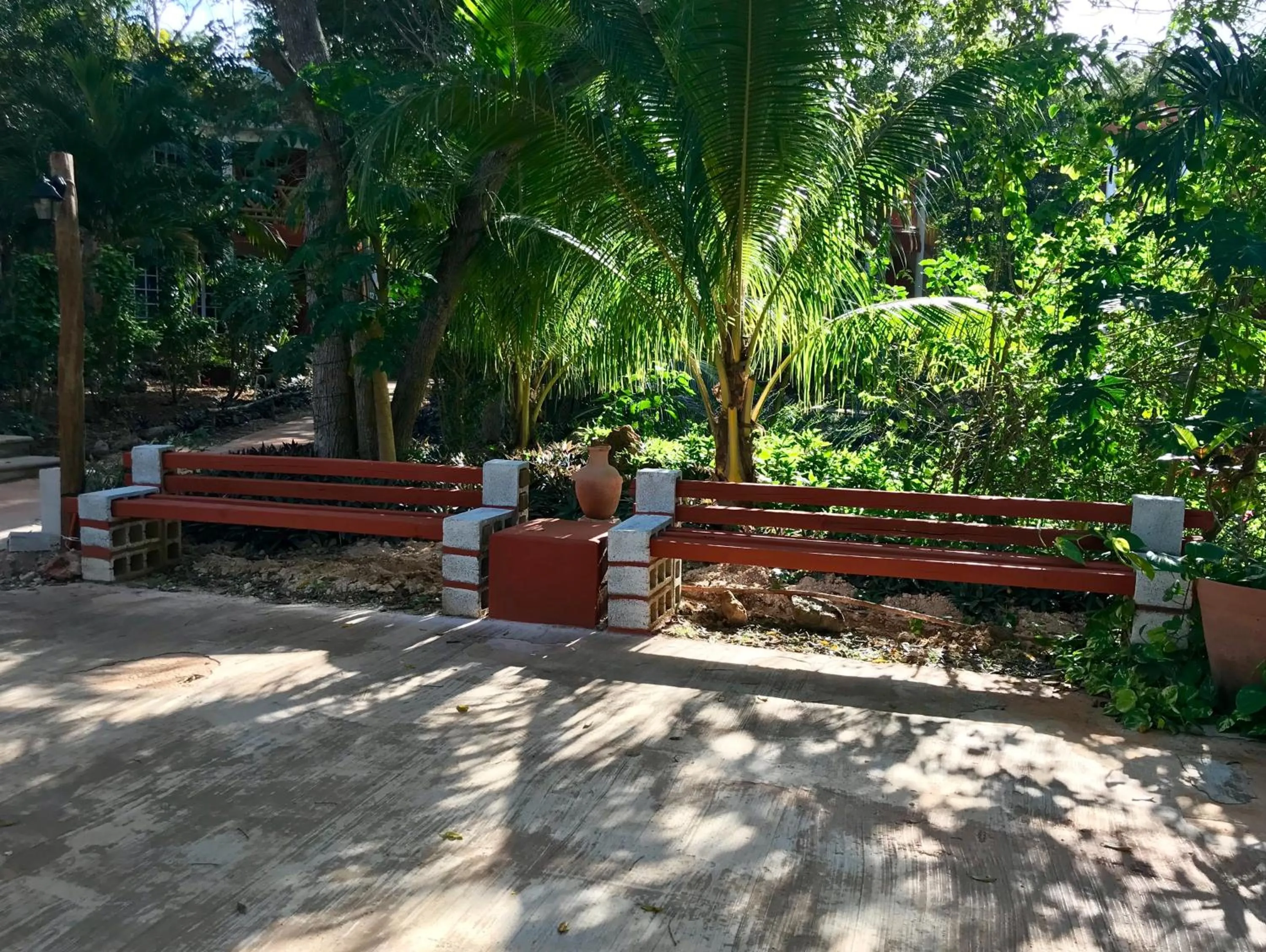 Garden in Eco-Hotel Nueva Altia