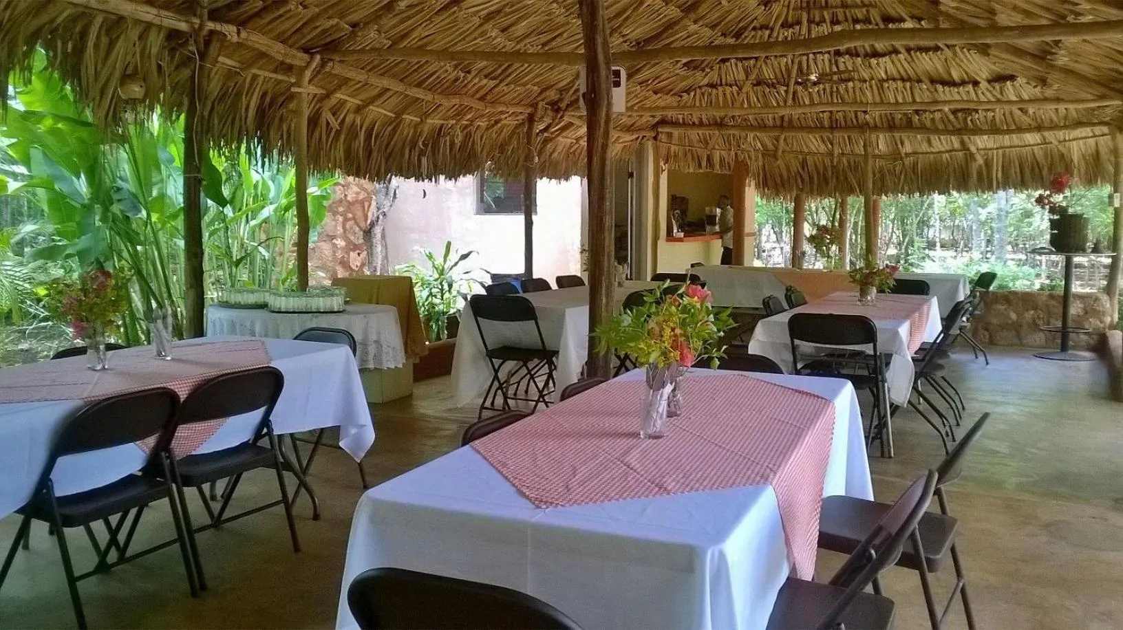 Restaurant/places to eat in Eco-Hotel Nueva Altia