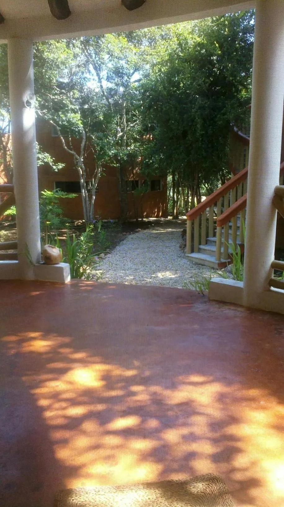 Patio in Eco-Hotel Nueva Altia