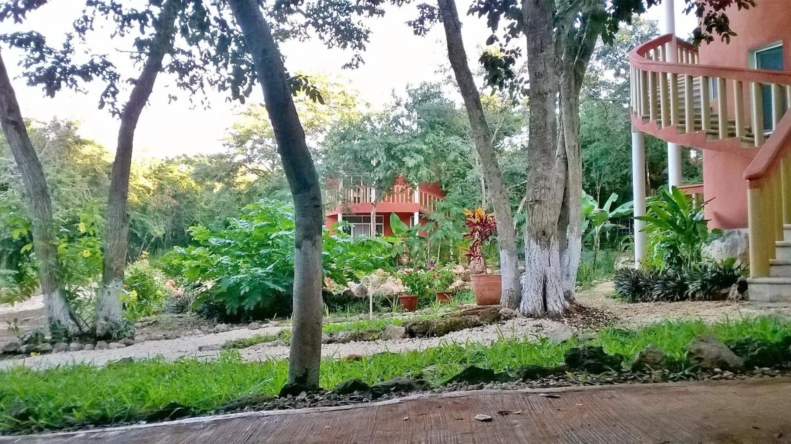 Patio in Eco-Hotel Nueva Altia