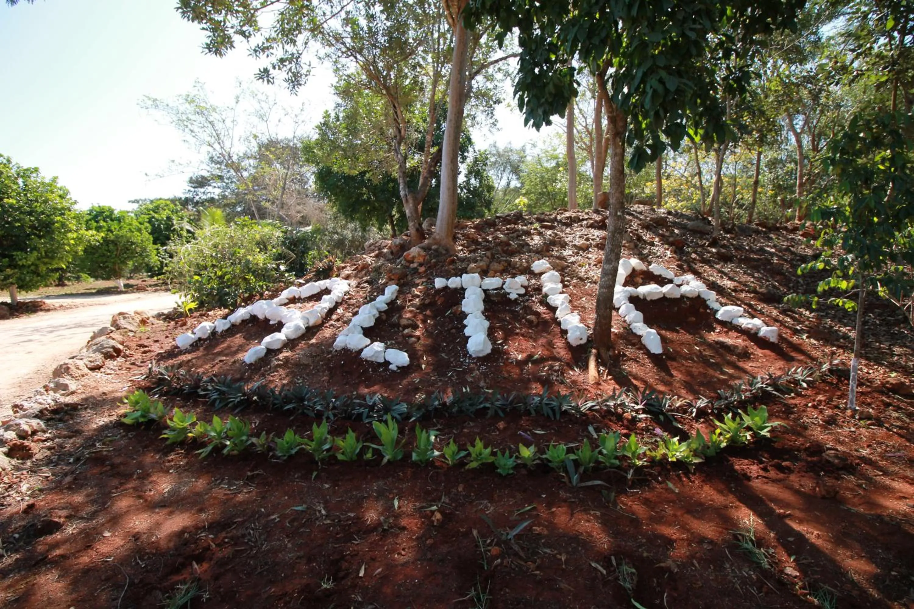 Property logo or sign in Eco-Hotel Nueva Altia