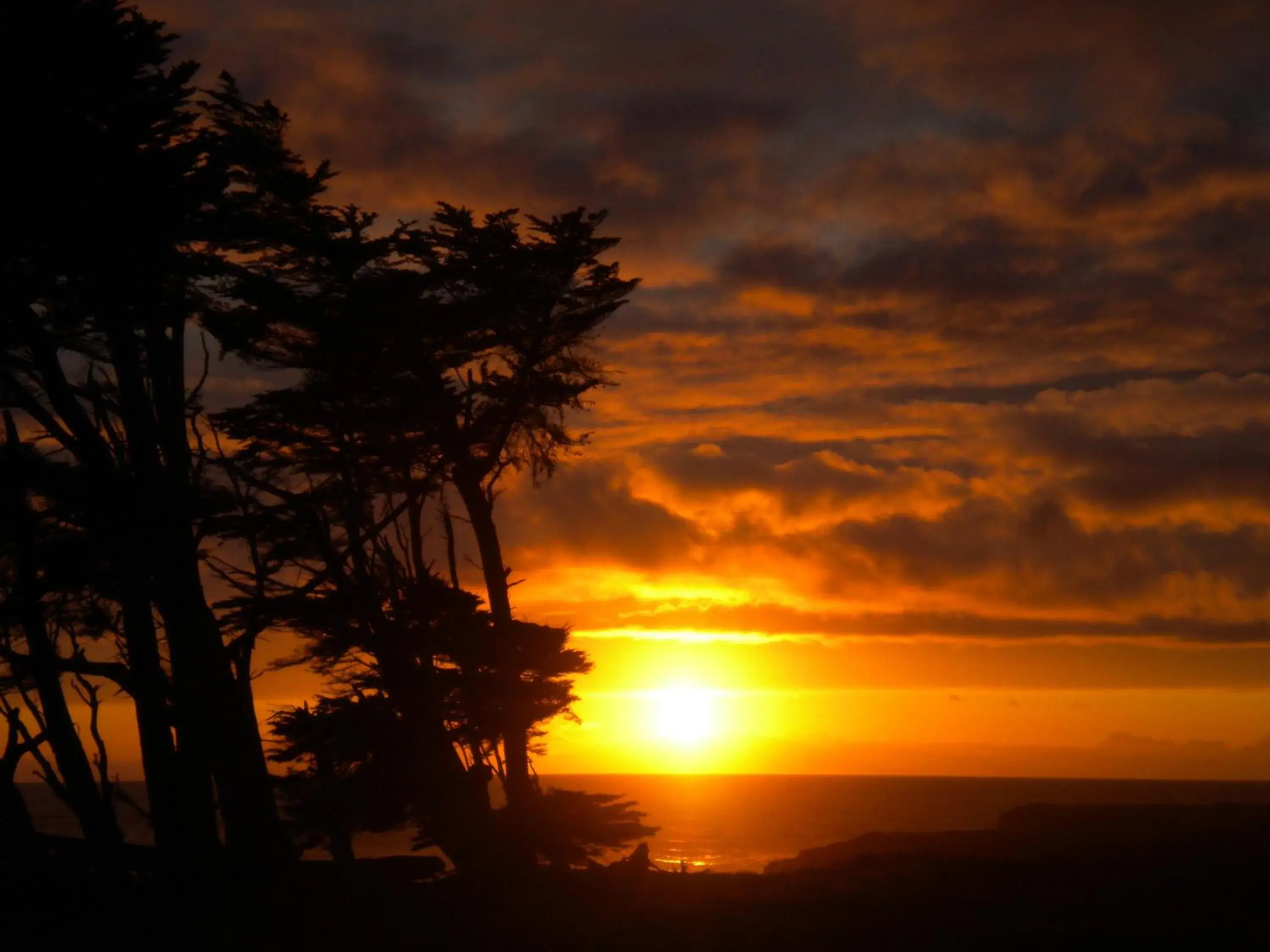 View (from property/room) in Beachcomber Motel View (from property/room) in Beachcomber Motel