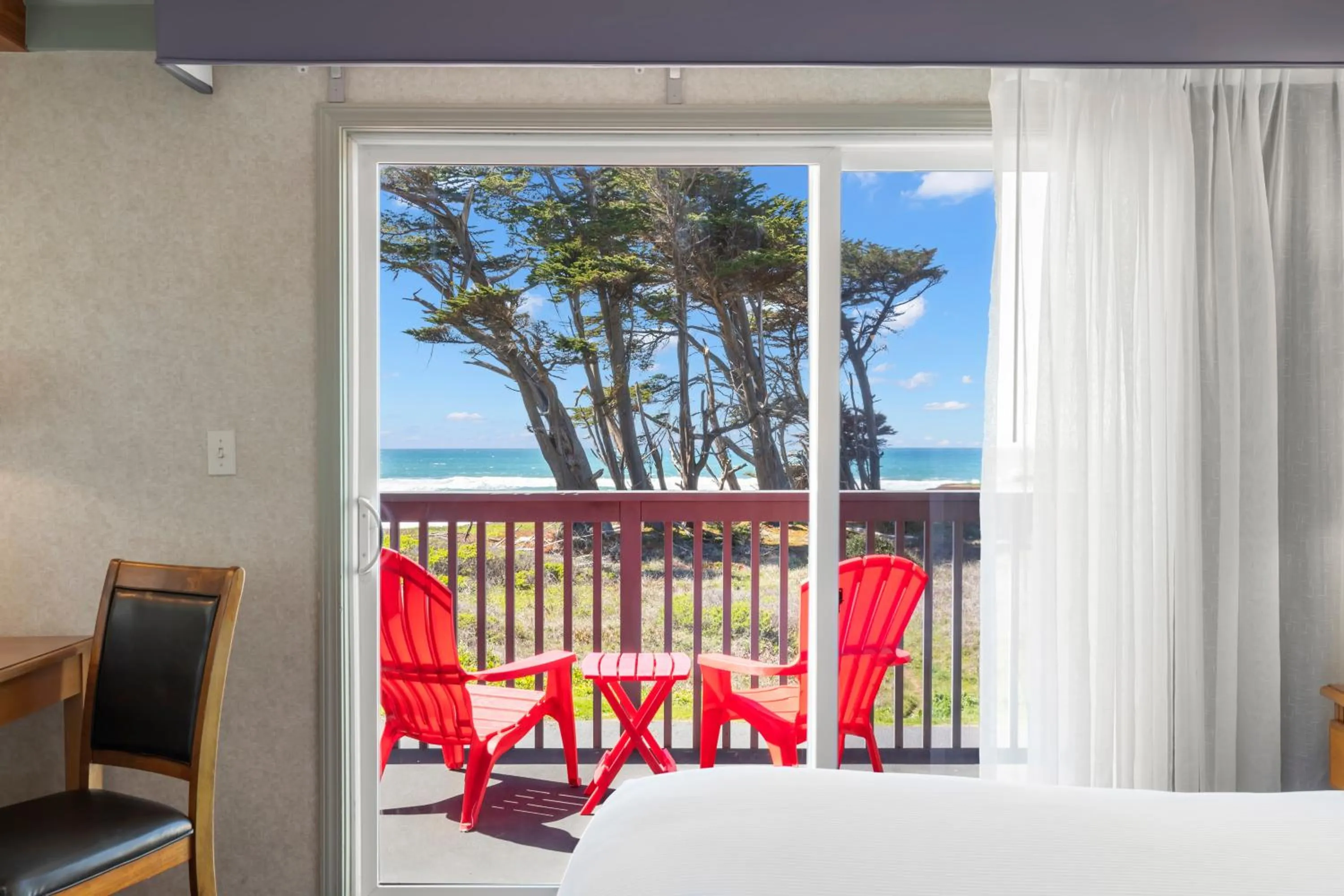 View (from property/room) in Beachcomber Motel