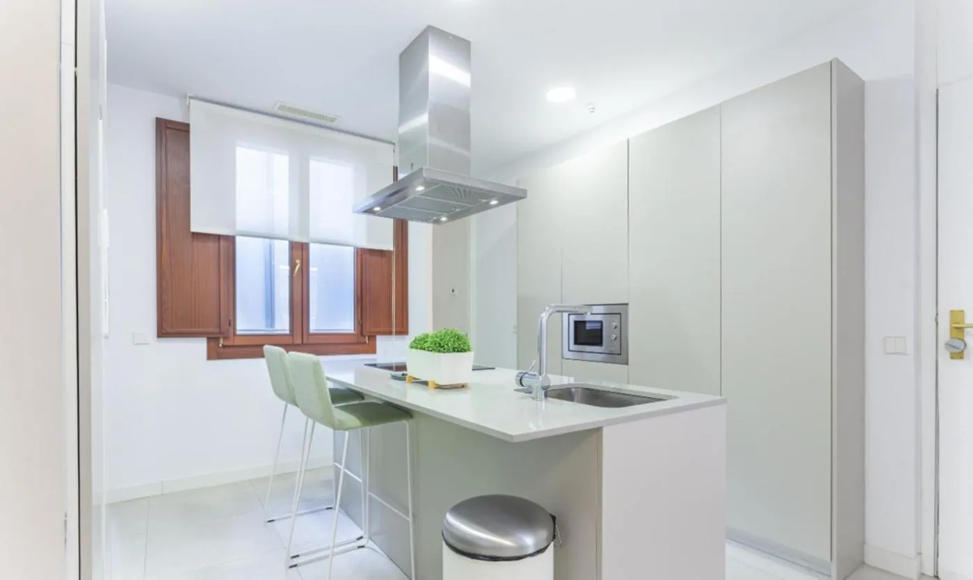 Kitchen or kitchenette in Bellas Artes en Madrid