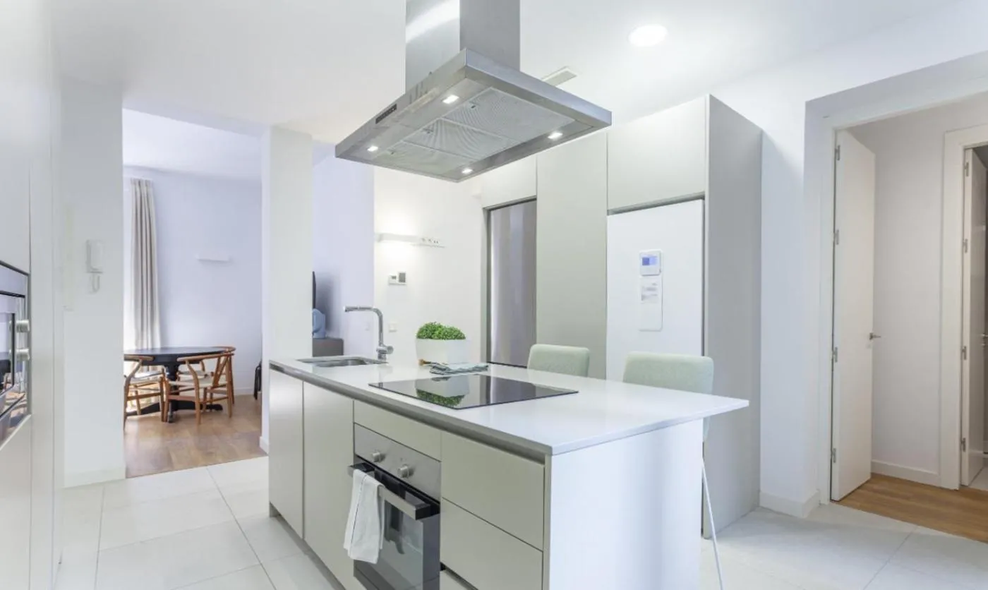 Kitchen or kitchenette in Bellas Artes en Madrid